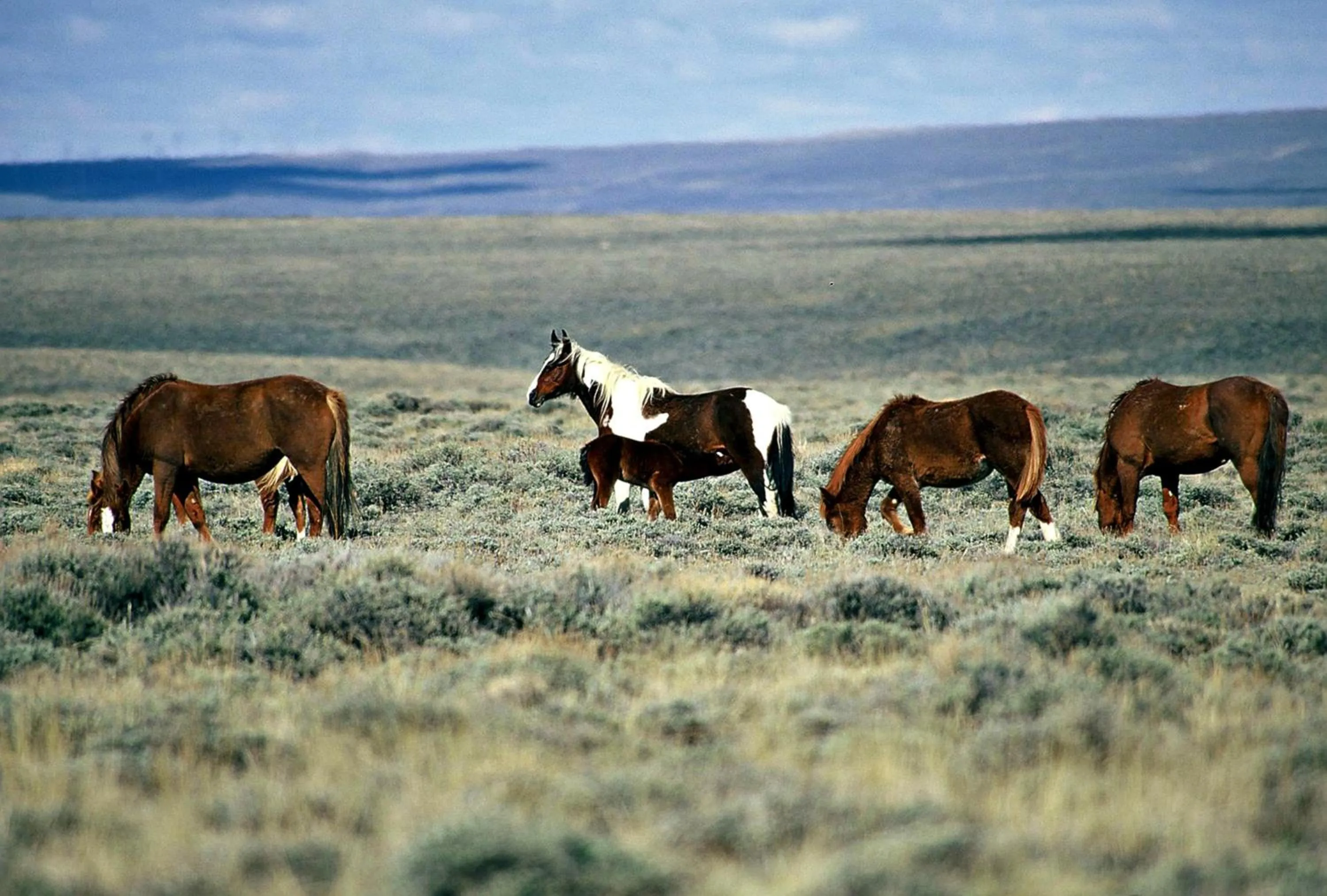 Nearby landmark in Holiday Inn Rock Springs by IHG