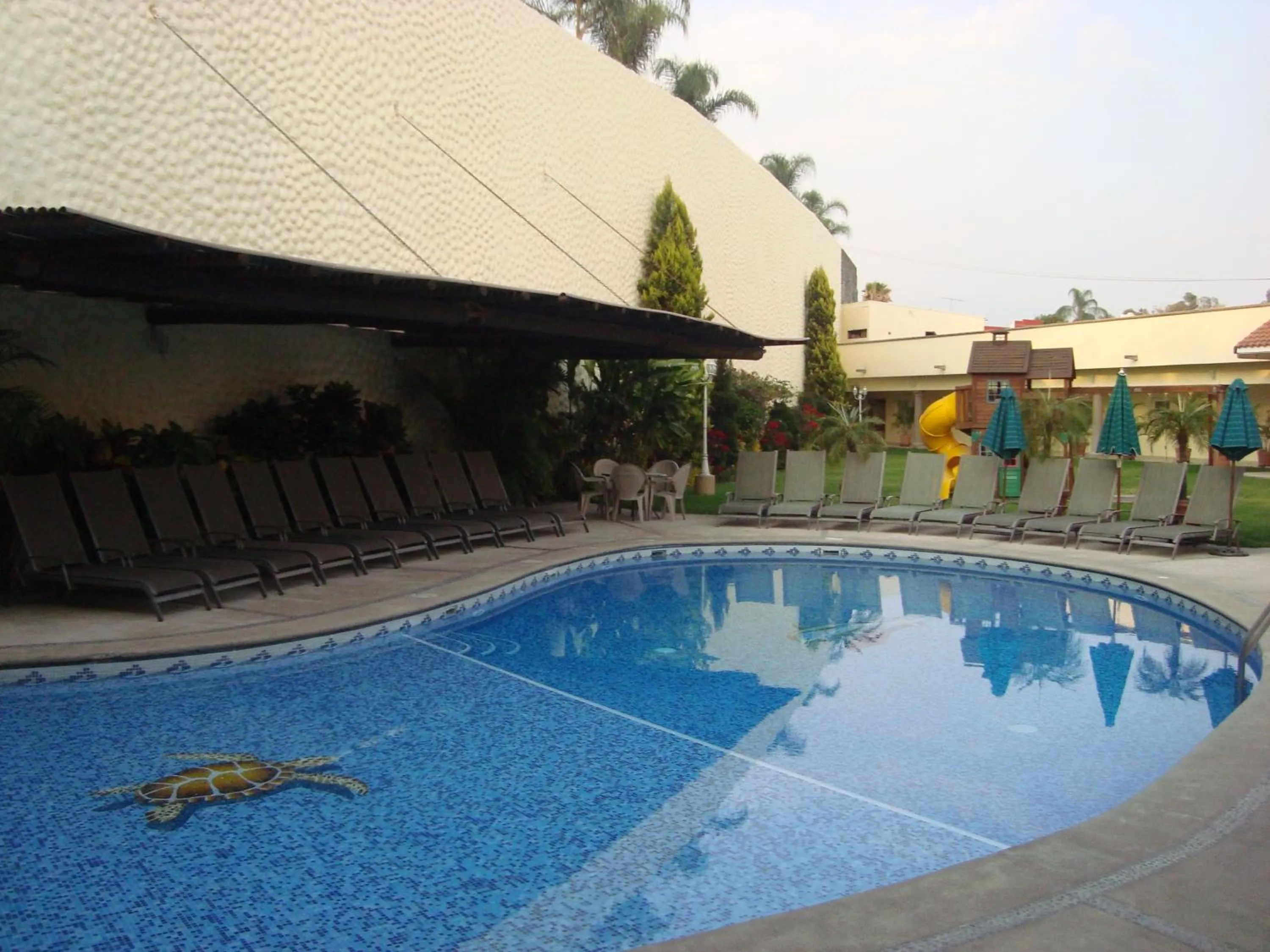 Swimming pool in Hotel Argento