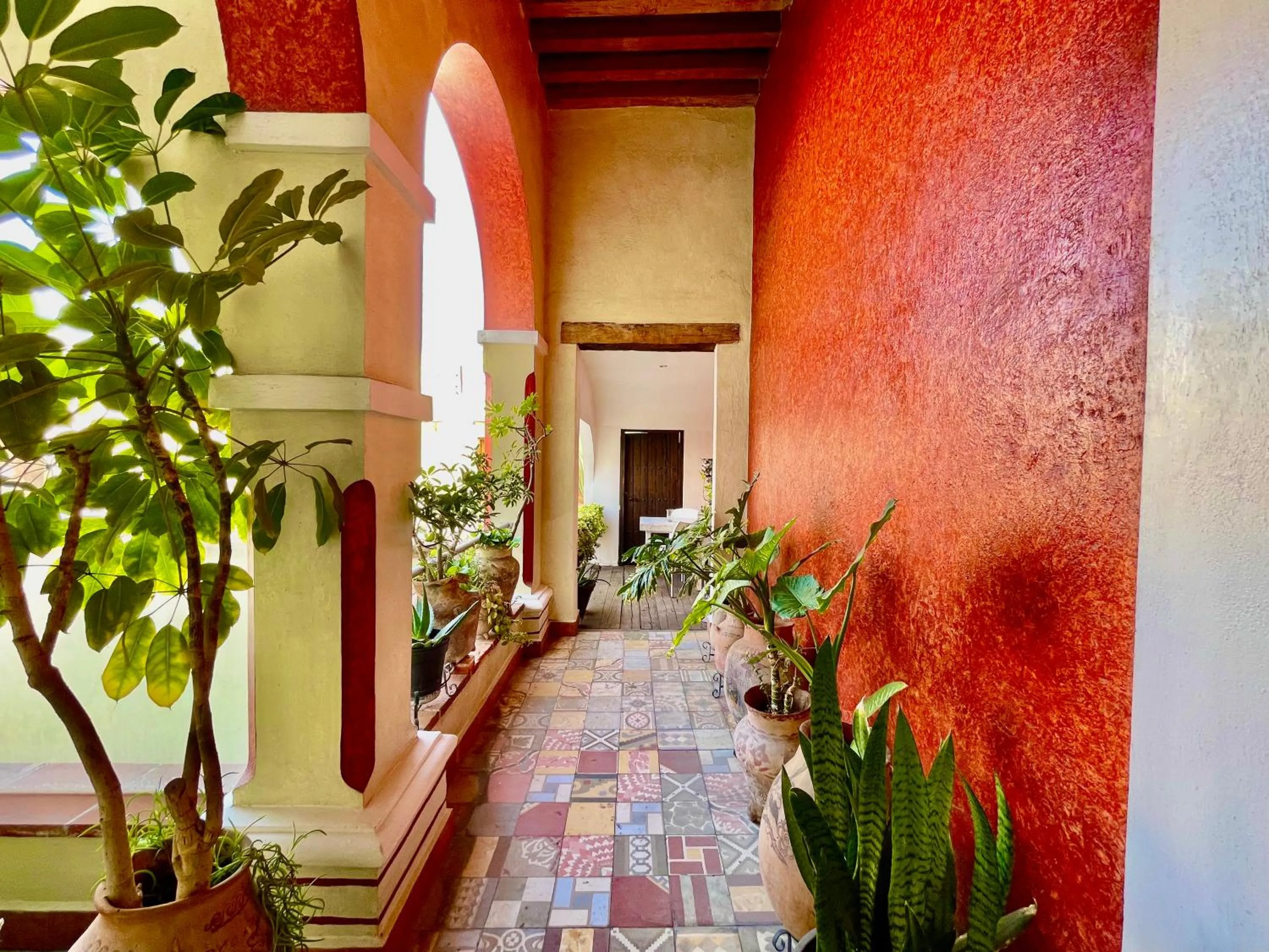 Garden in El Sueño Hotel & Spa