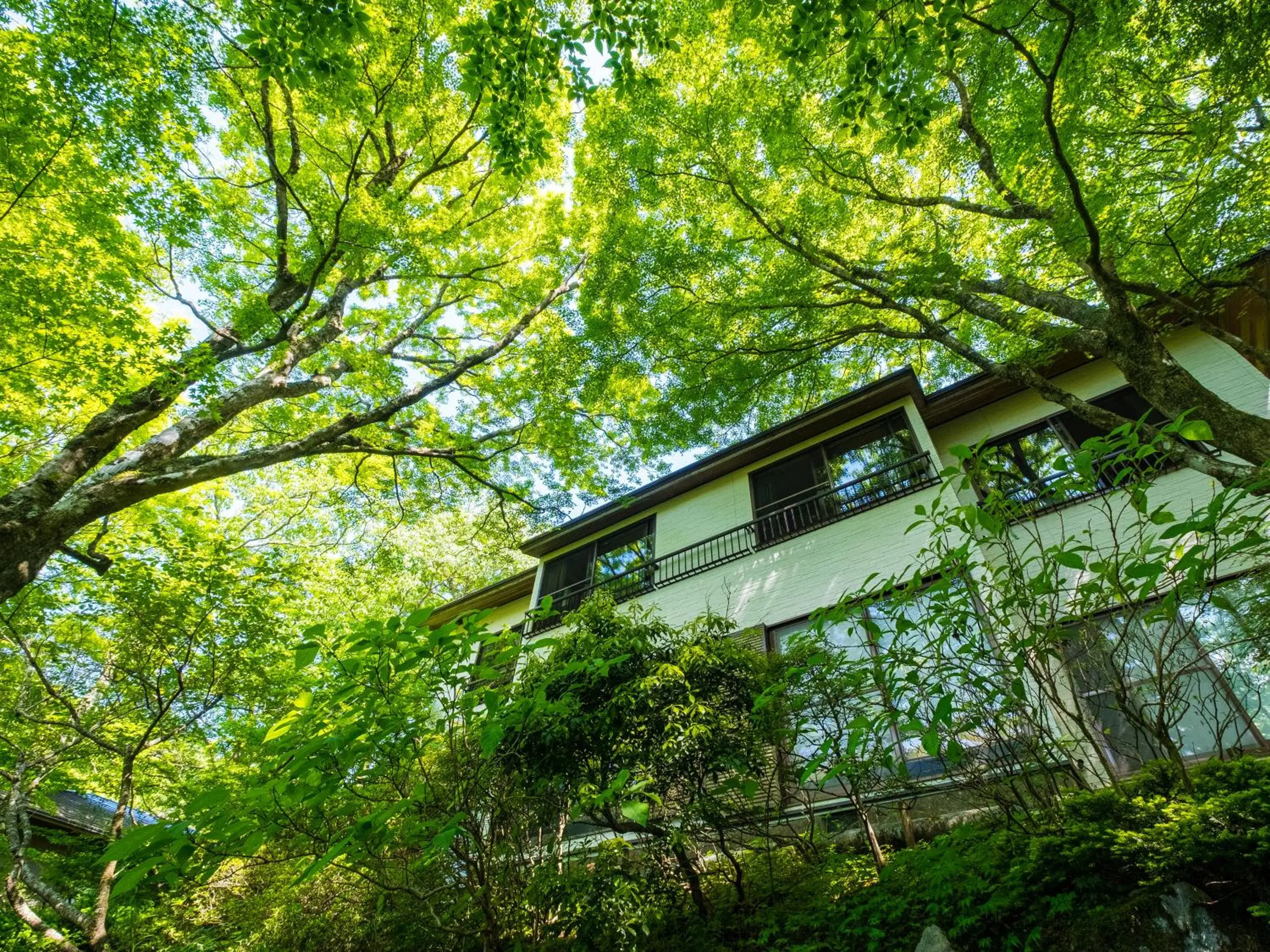 Facade/entrance in Hakone Onsen Sanso Nakamura Facade/entrance in Hakone Onsen Sanso Nakamura
