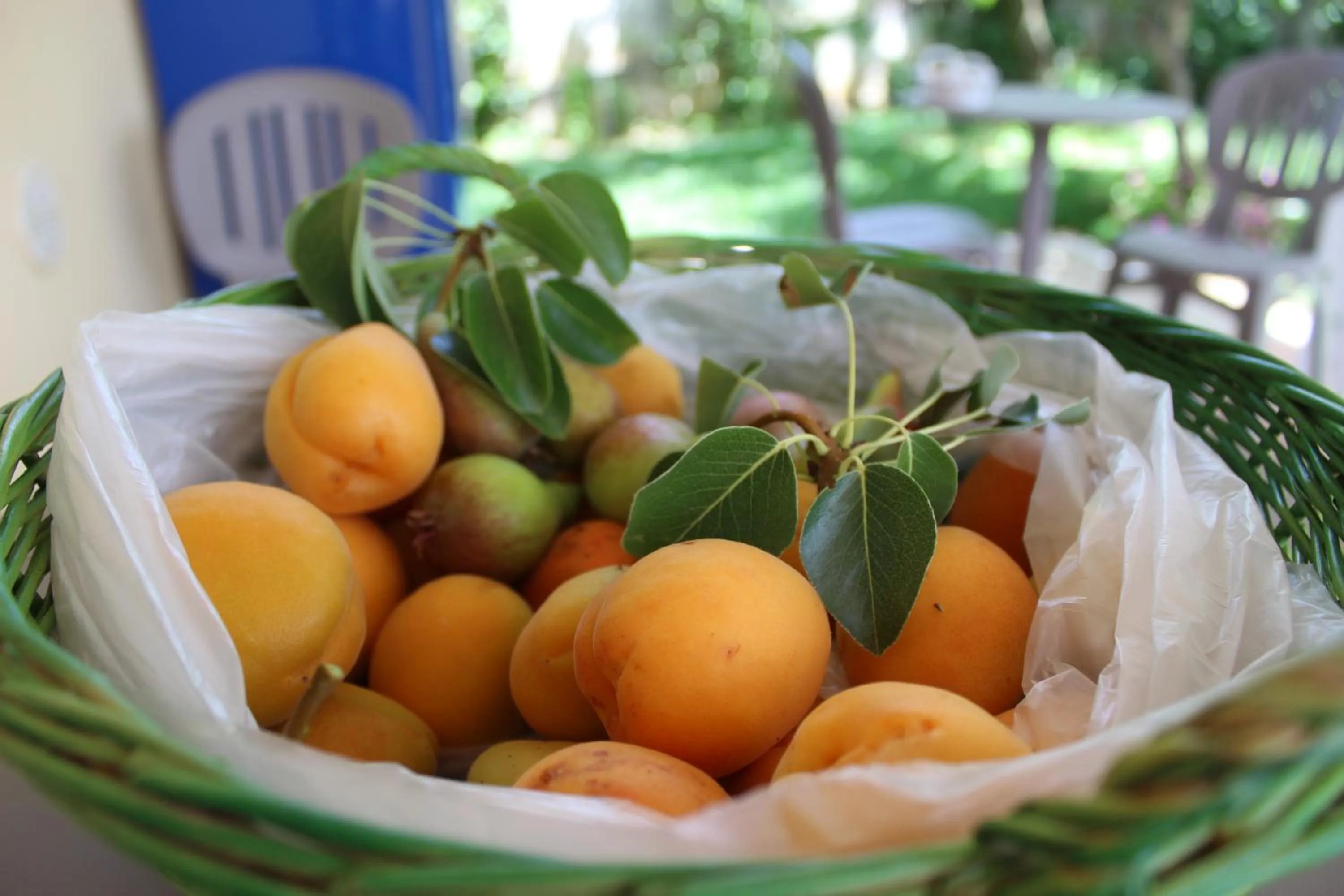 Food and drinks in Villa Lucia B&B