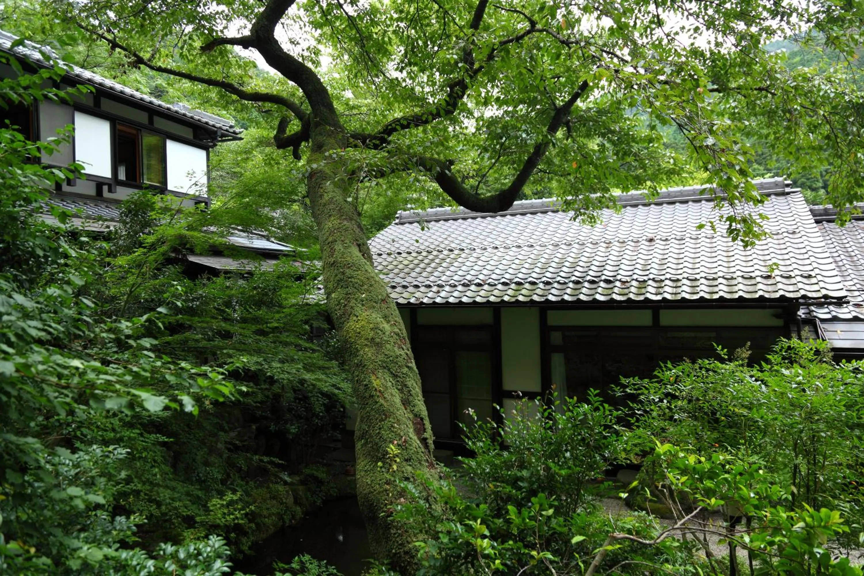 Garden in Kyo no Minshuku Ohara no Sato