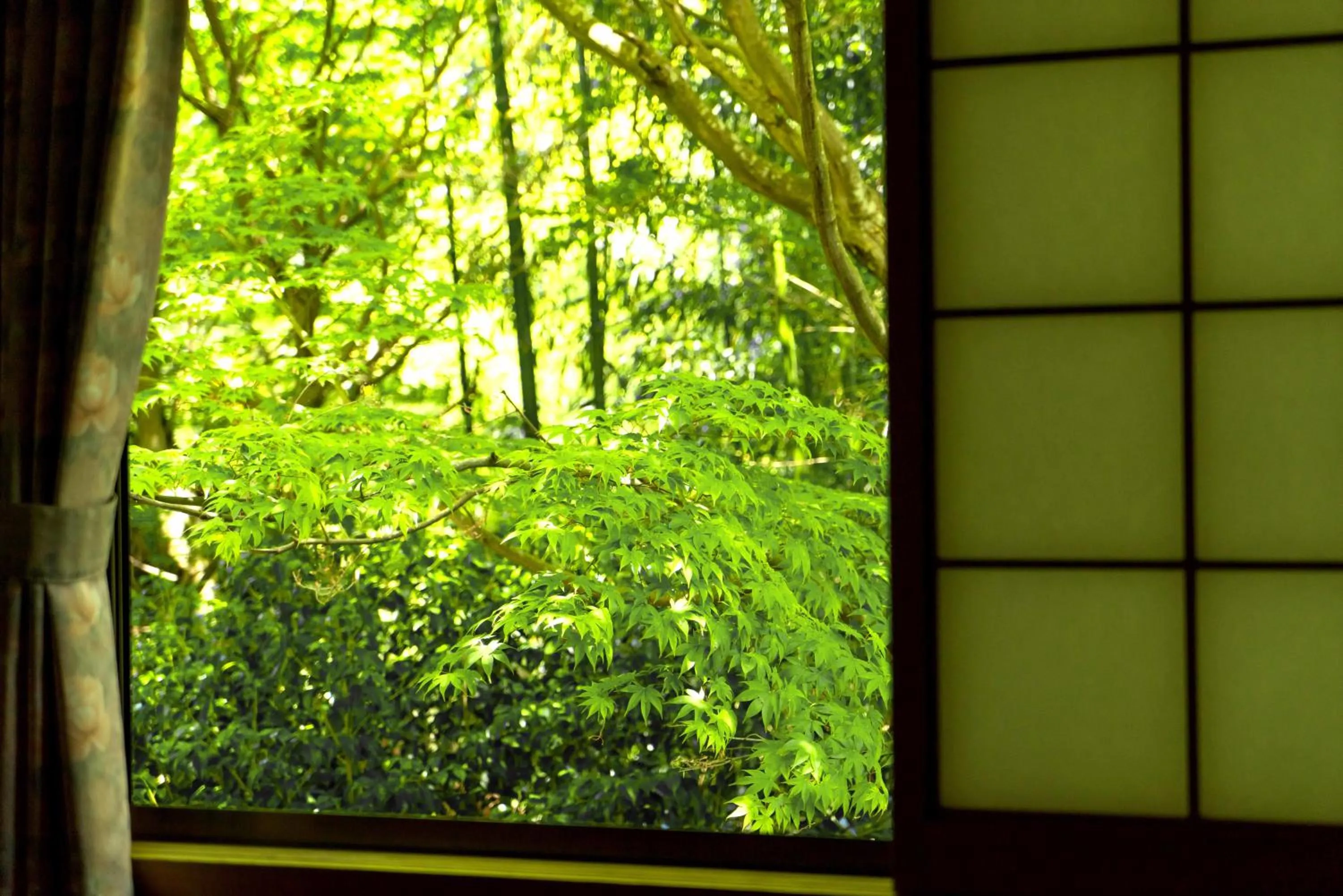 View (from property/room) in Kyo no Minshuku Ohara no Sato