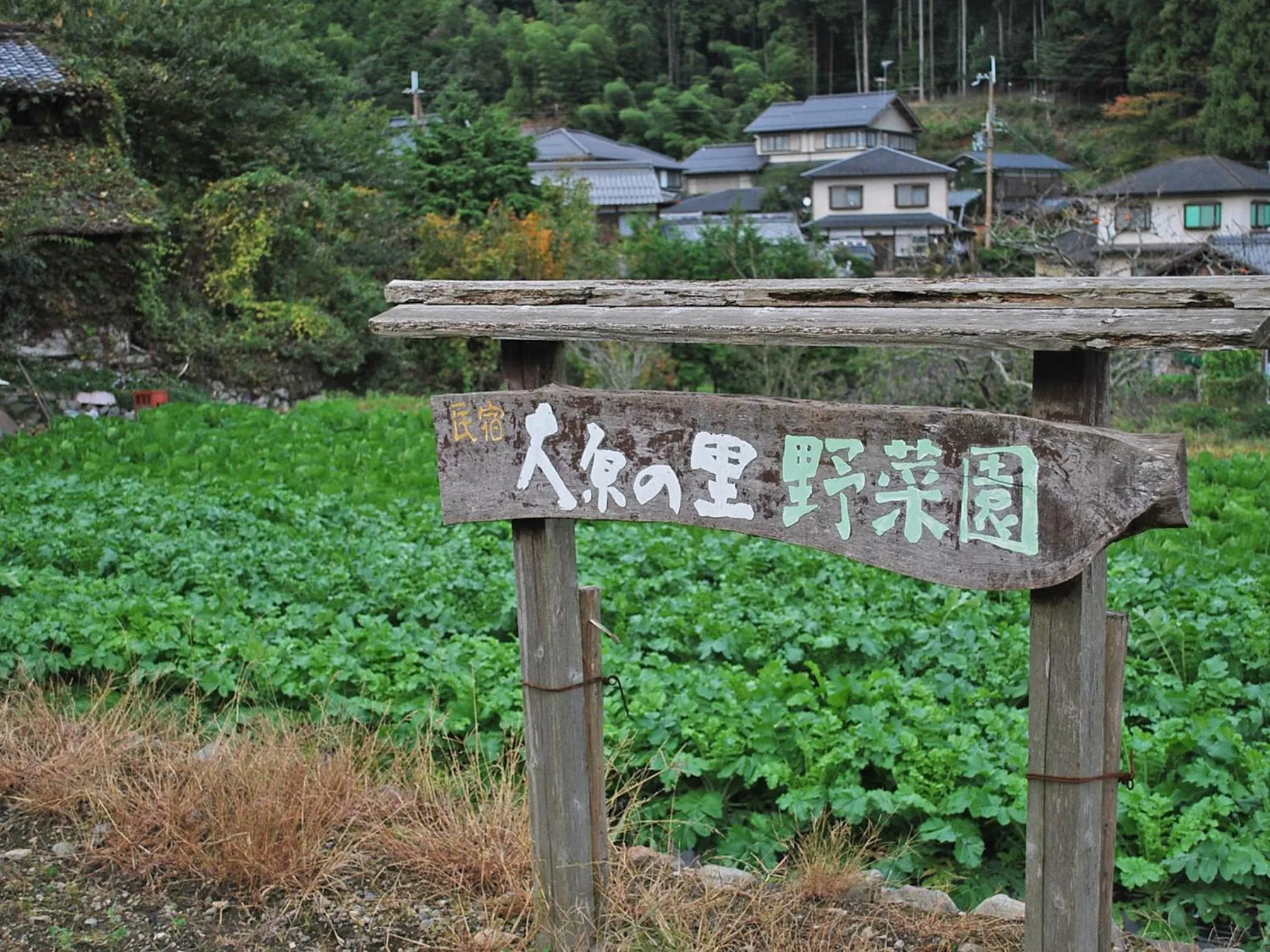 Garden in Kyo no Minshuku Ohara no Sato