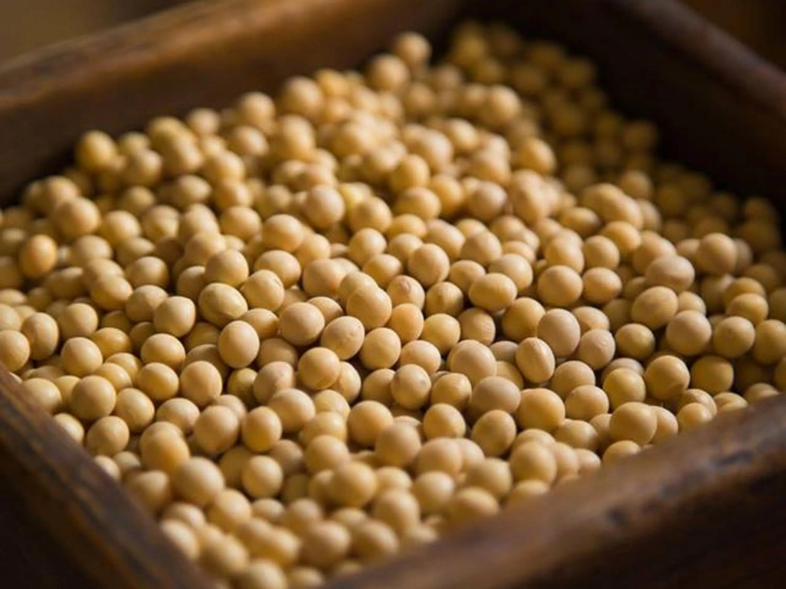 Food in Kyo no Minshuku Ohara no Sato