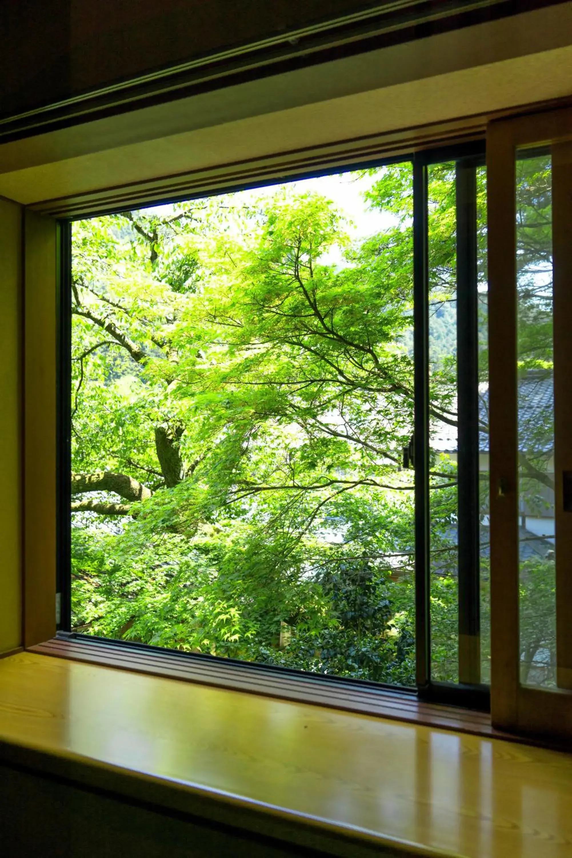 View (from property/room) in Kyo no Minshuku Ohara no Sato View (from property/room) in Kyo no Minshuku Ohara no Sato