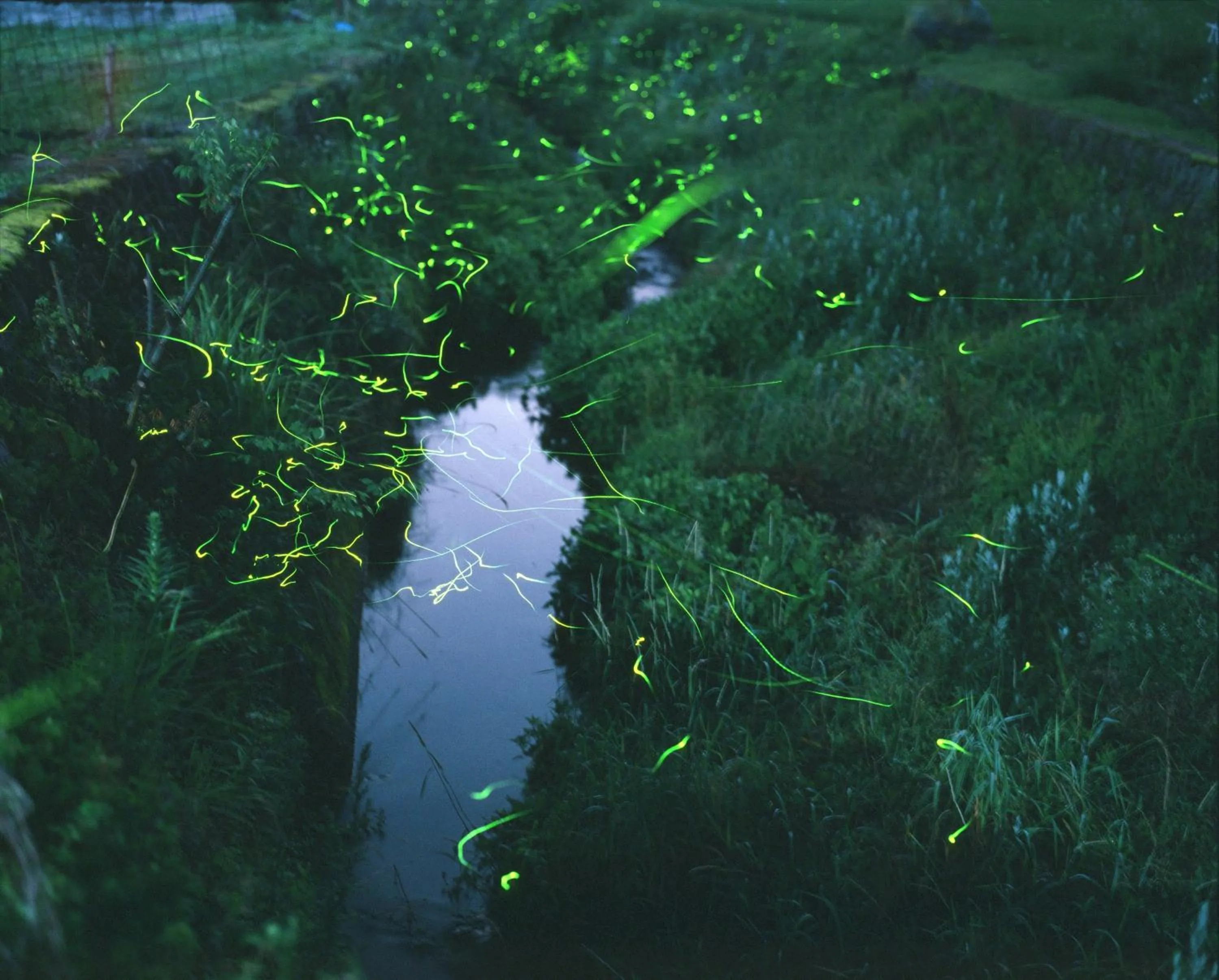 Other in Kyo no Minshuku Ohara no Sato