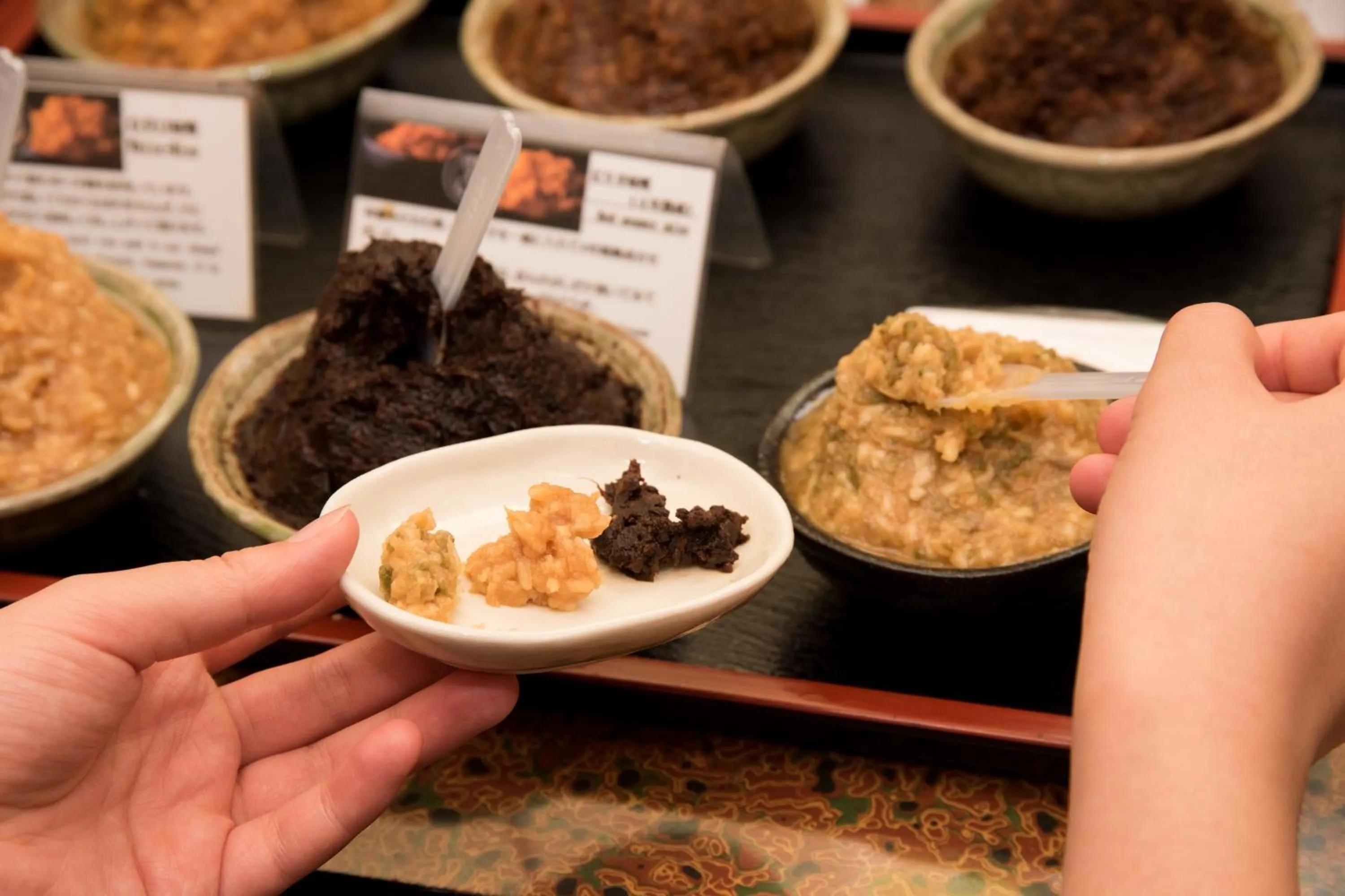 Dinner in Kyo no Minshuku Ohara no Sato