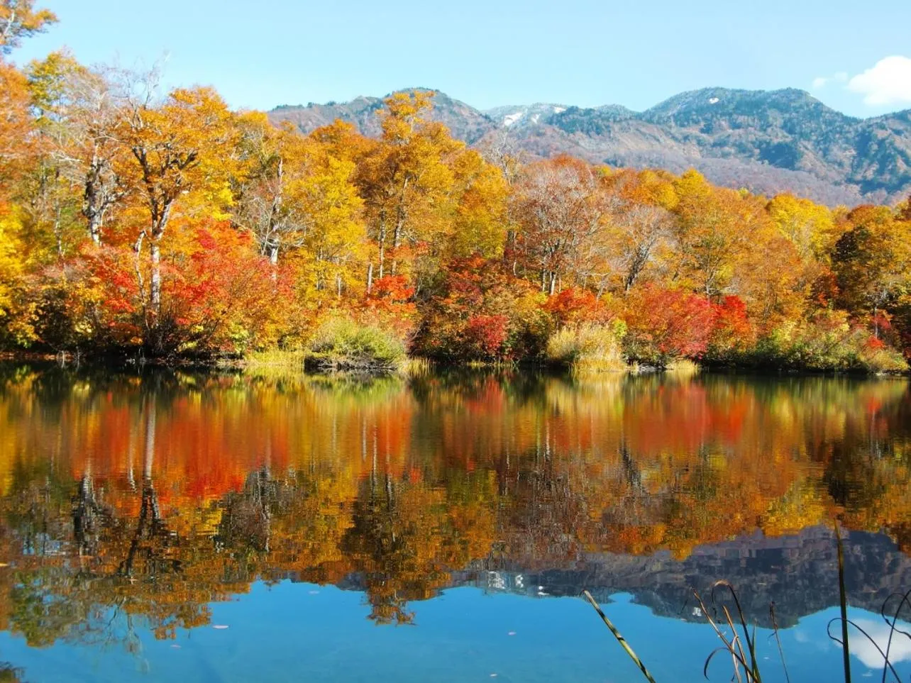 Nearby landmark in Hotel Sunplaza Tsugaike