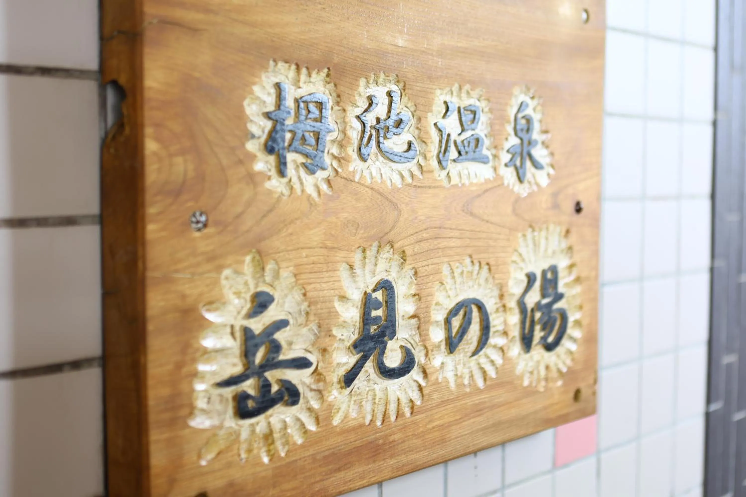 Public Bath in Hotel Sunplaza Tsugaike