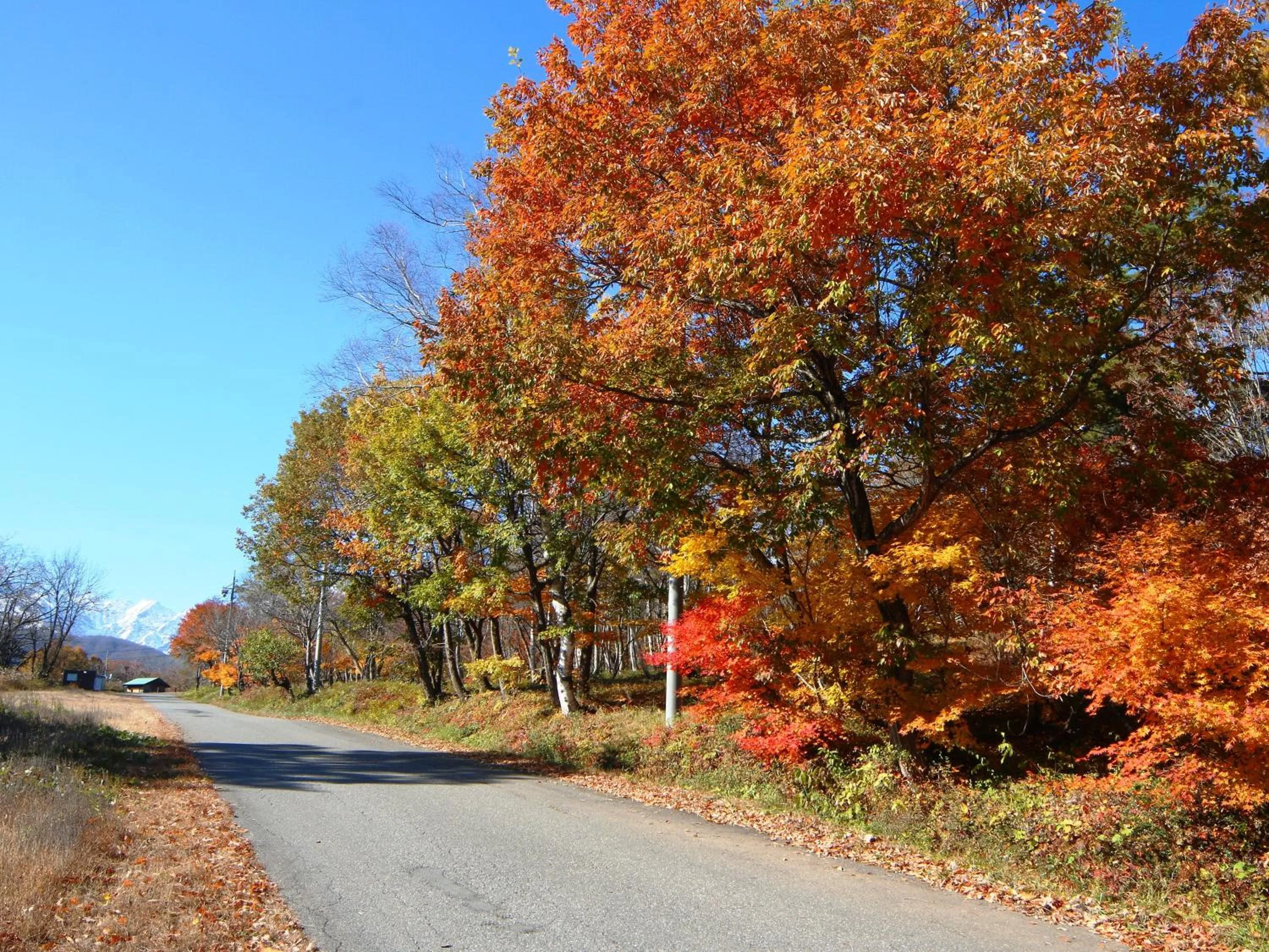 Off site in Hotel Meribel Tsugaike