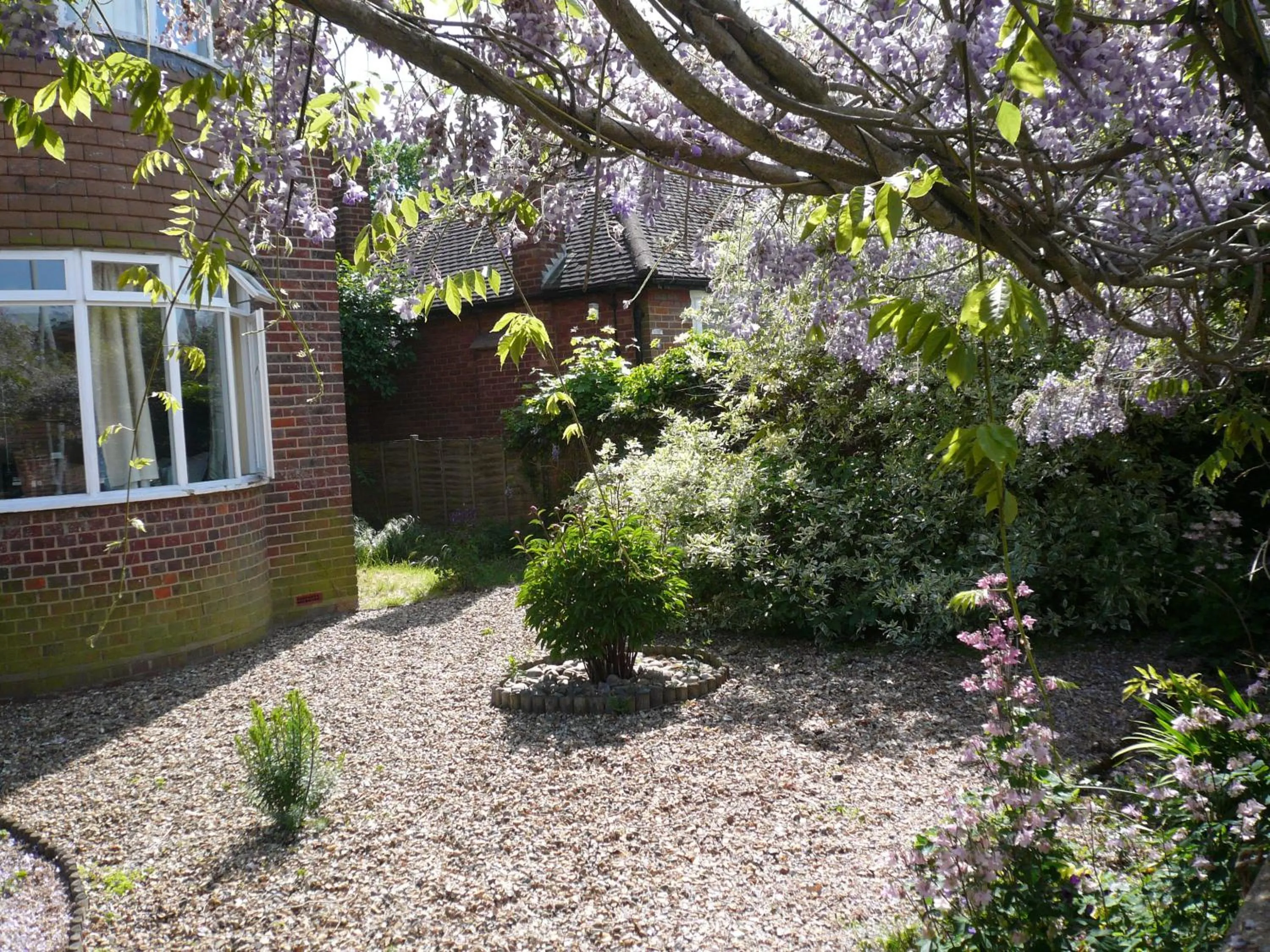 Garden in Malvern House