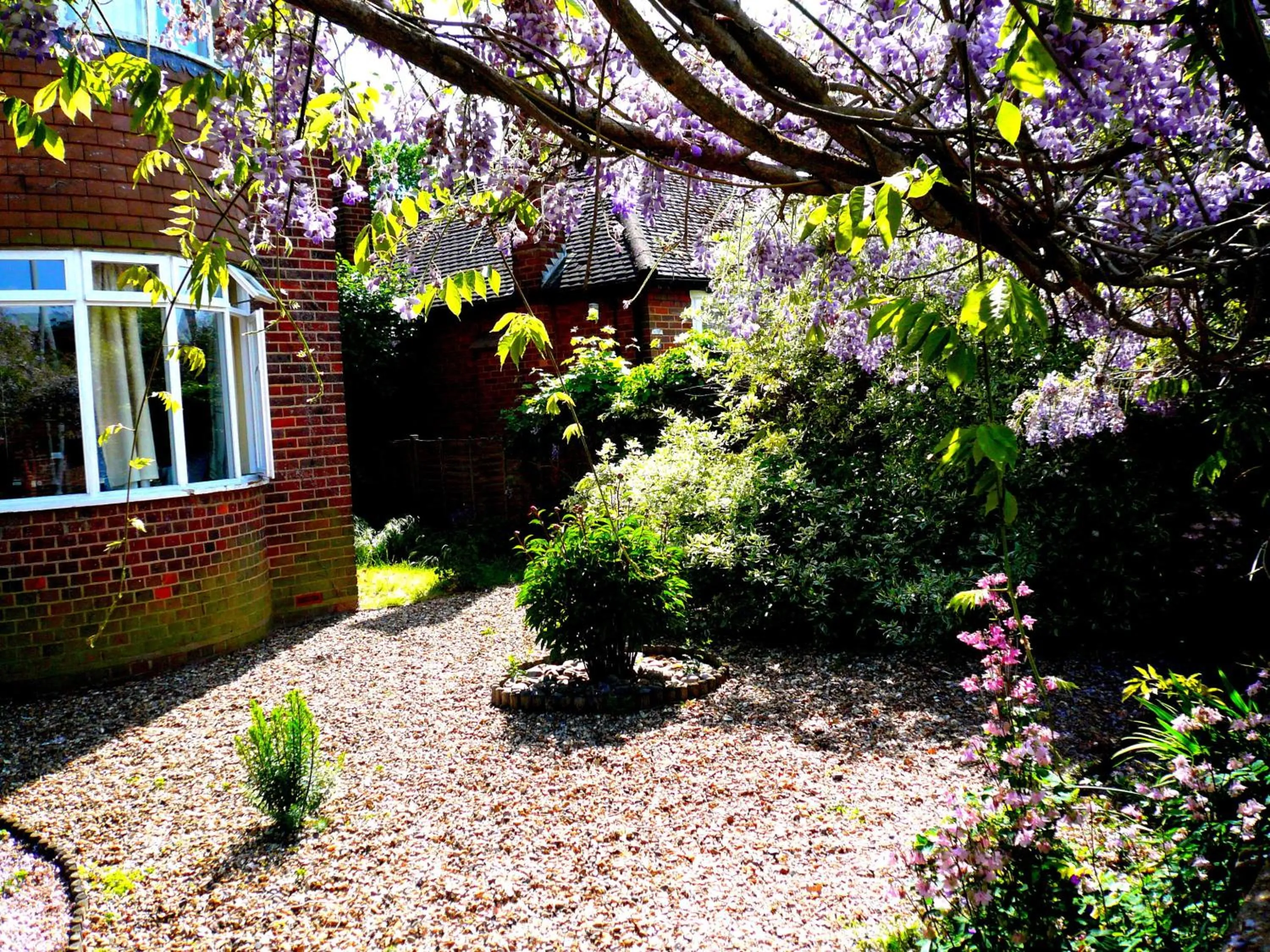 Garden in Malvern House