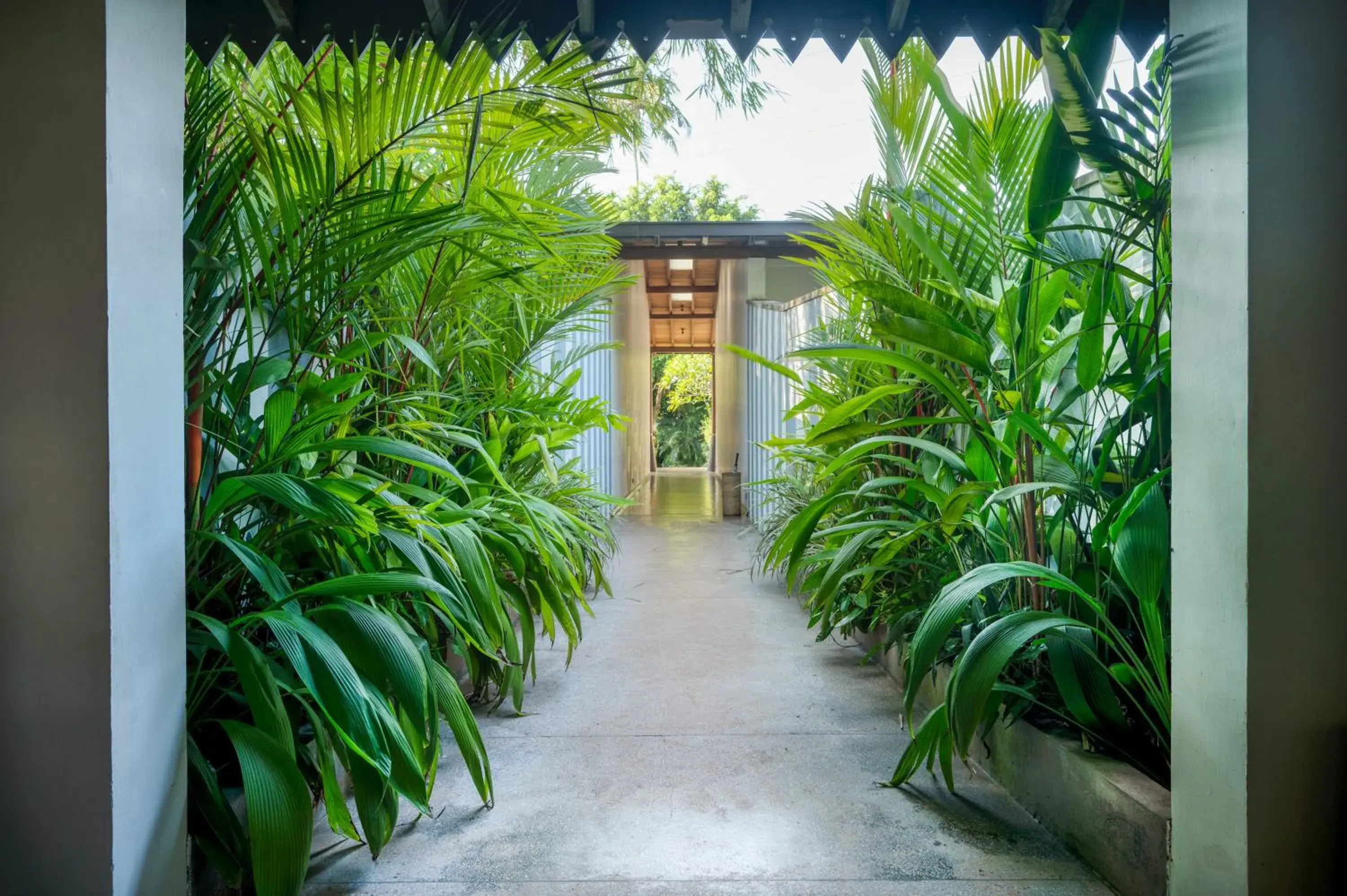 Facade/entrance in Wallawwa Facade/entrance in Wallawwa