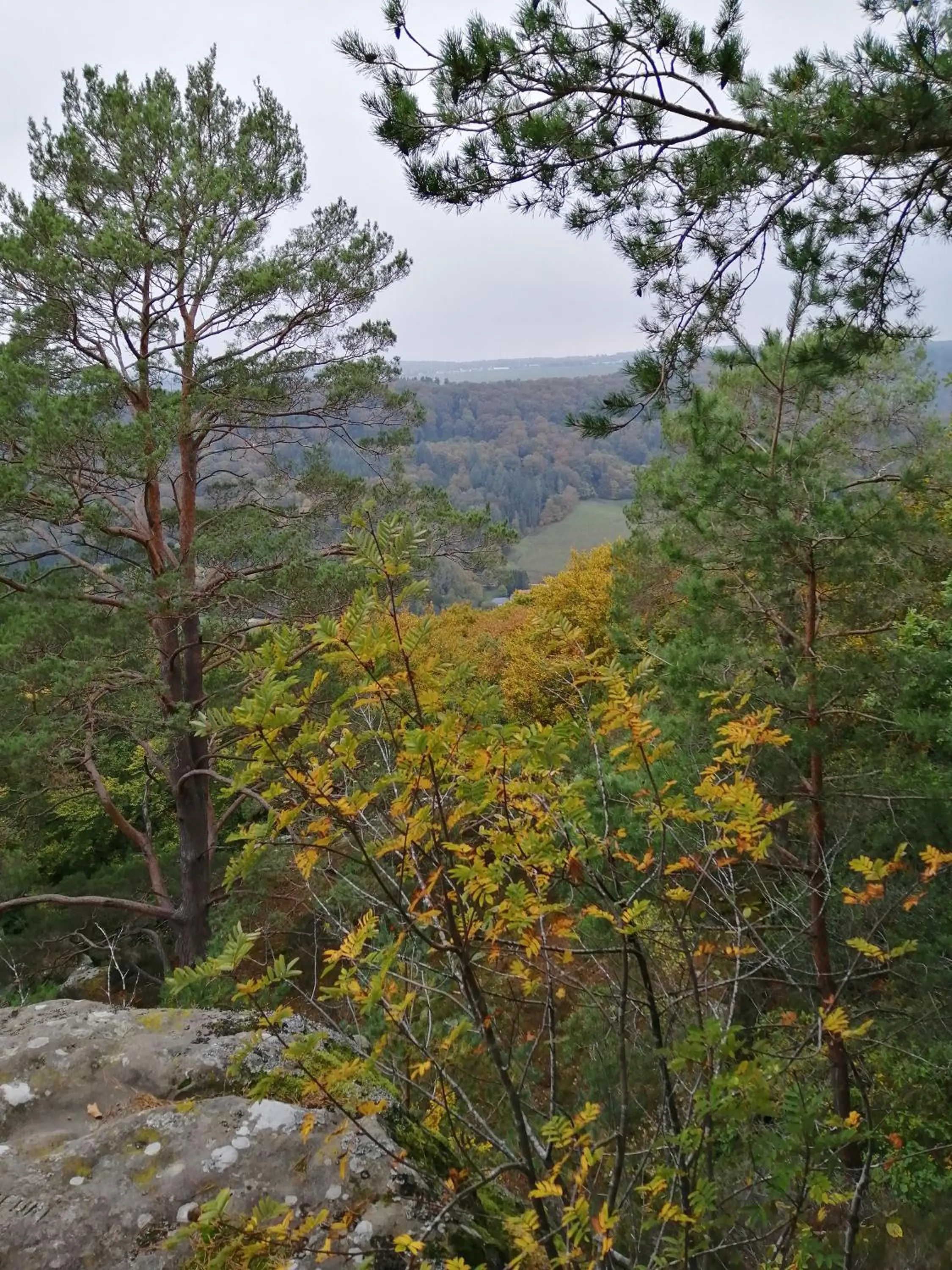 Natural landscape in B&B De Boerderij