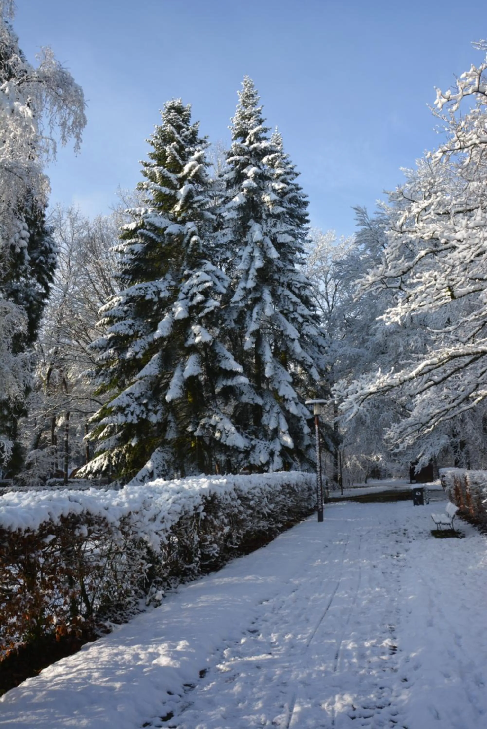 Natural landscape in B&B De Boerderij