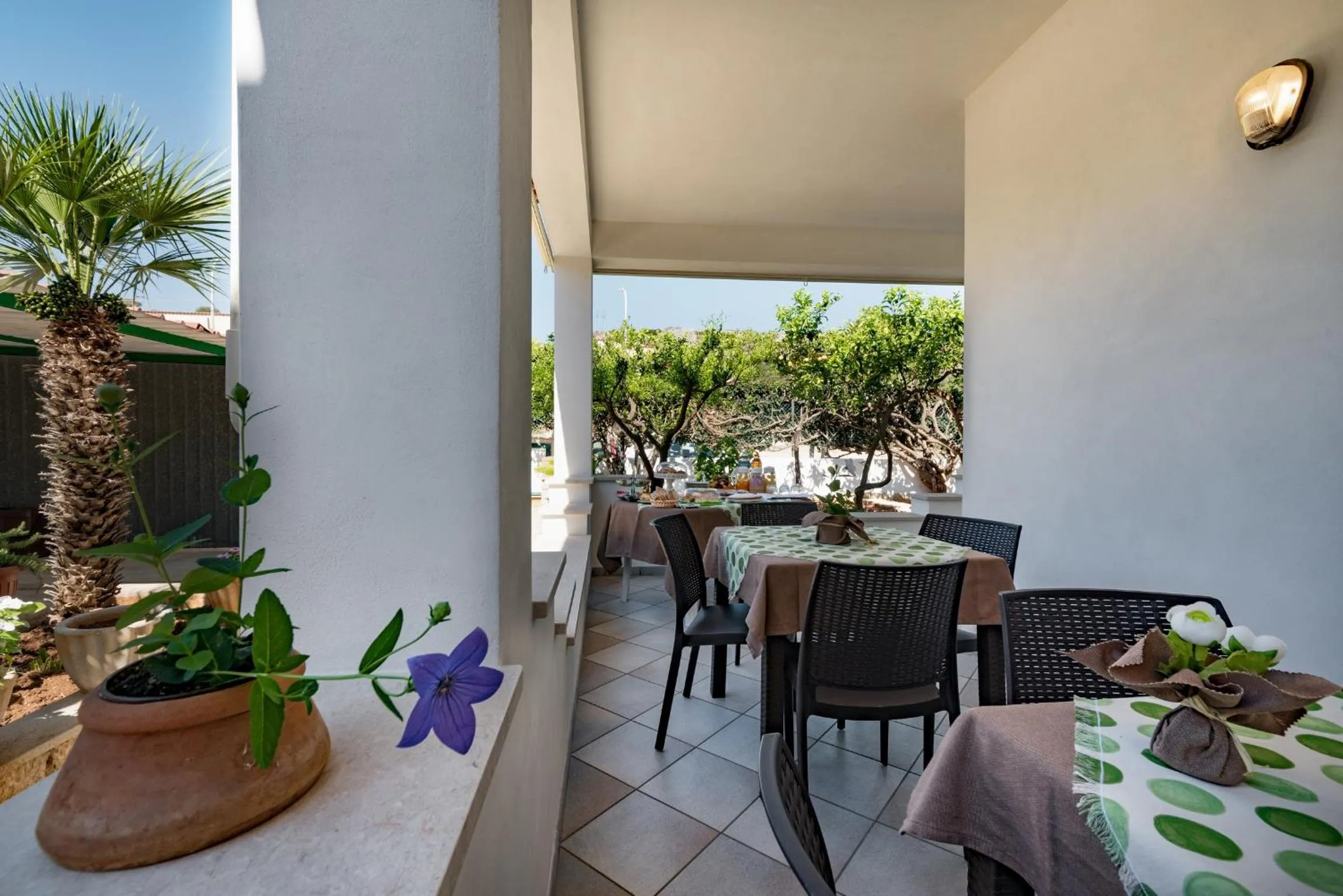 Tra la montagna e il mare