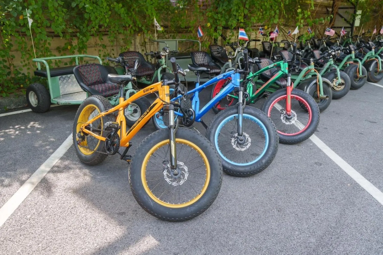 Activities in Khum Damnoen Resort