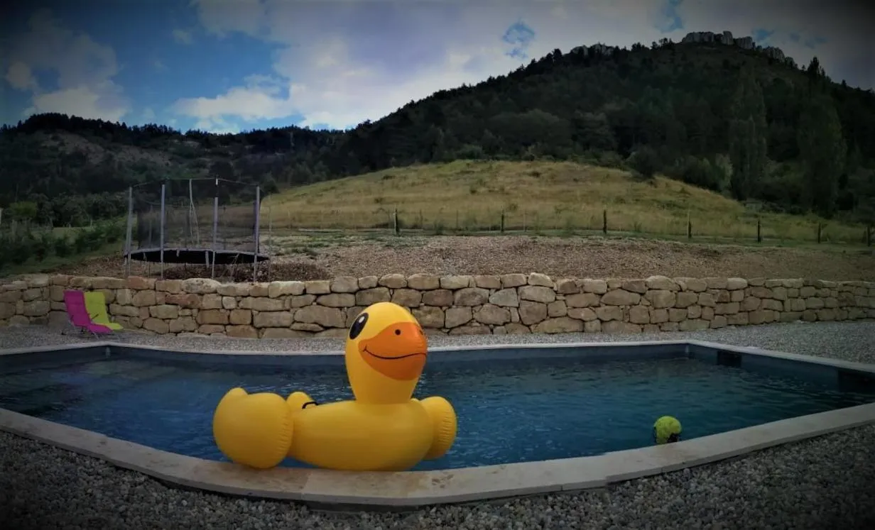 Pool view in Moulin A