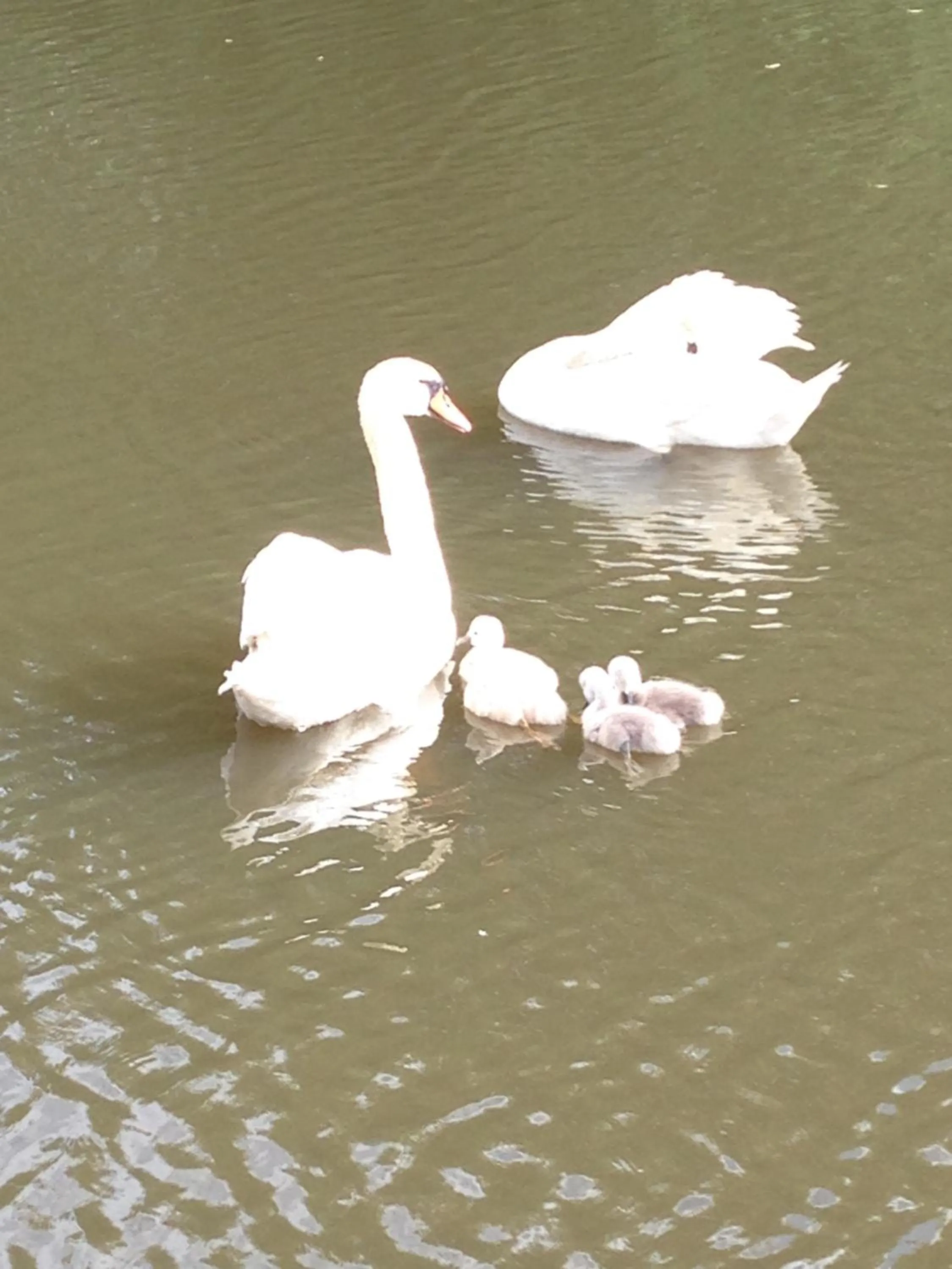 Property building in B&B De Koraal