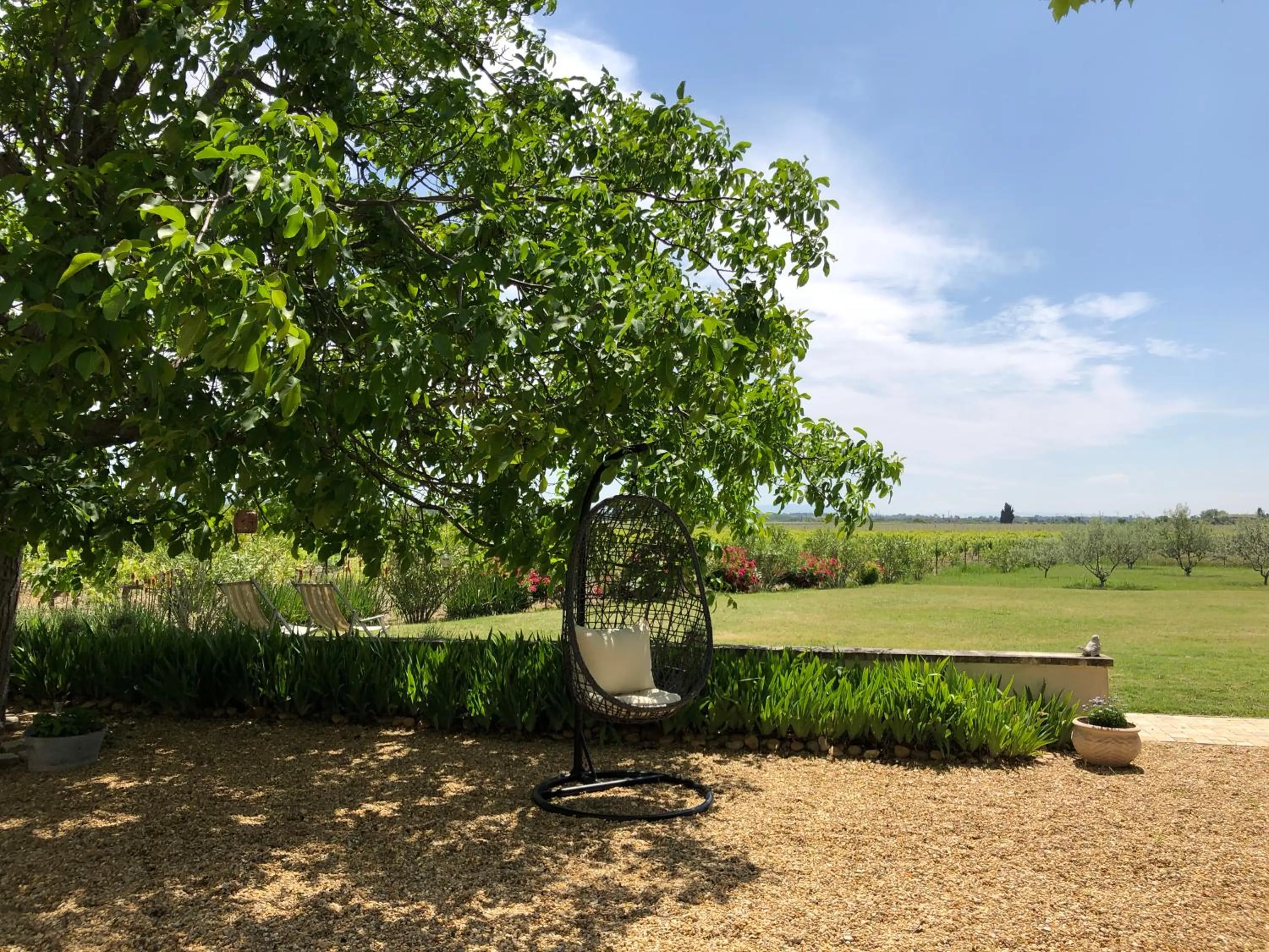 Garden in Le Domaine de Tini