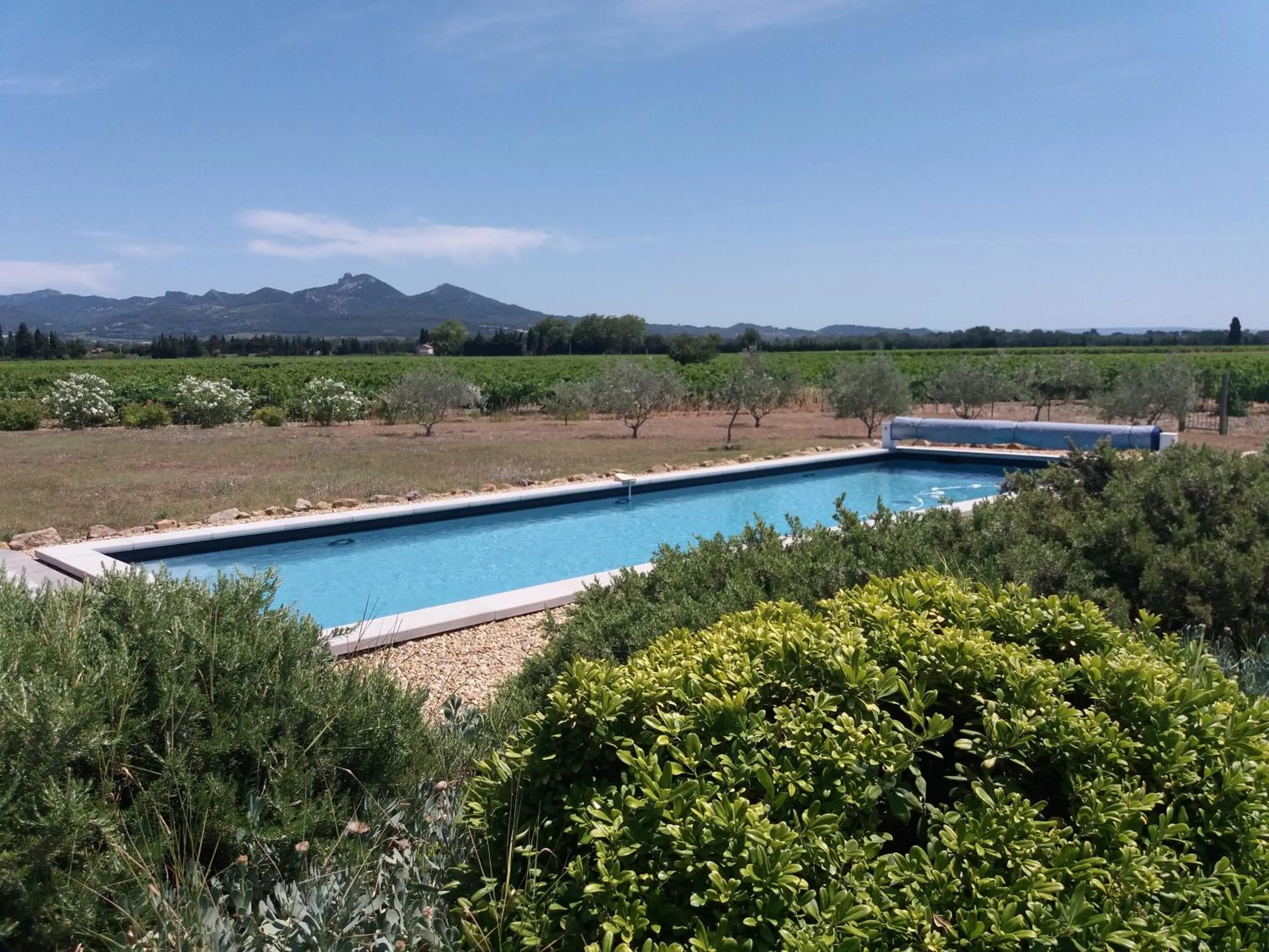 Swimming pool in Le Domaine de Tini