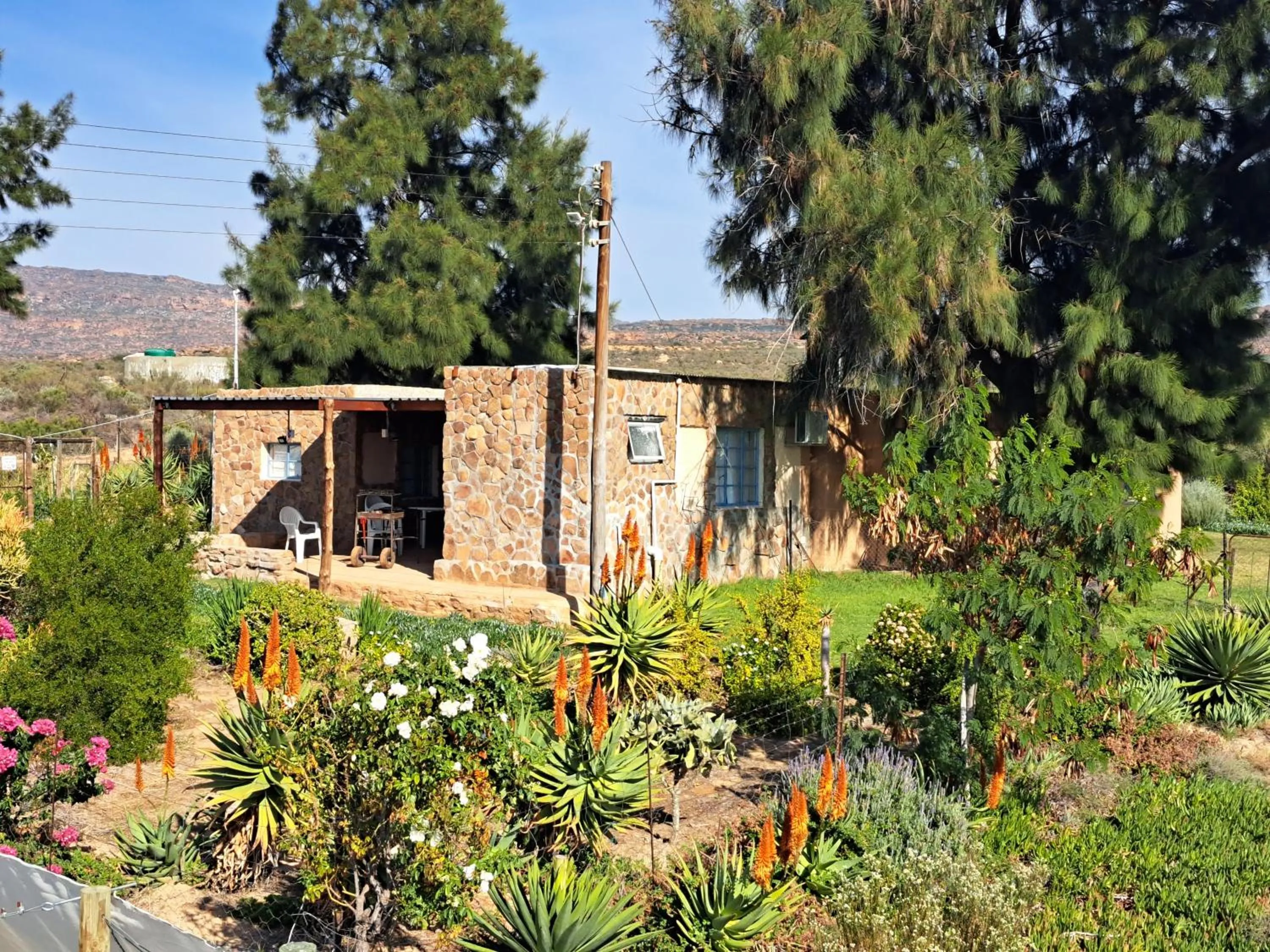 Neels Cottage