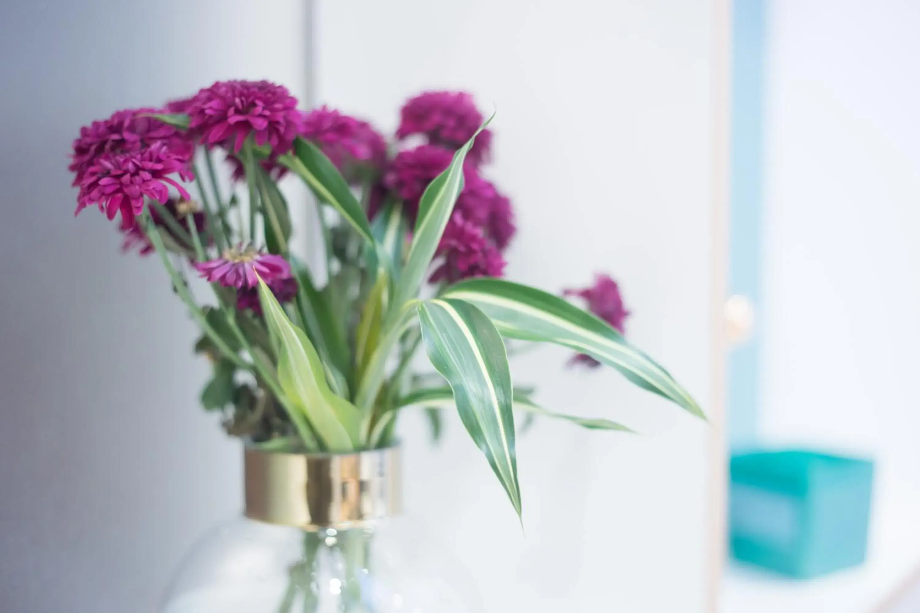 Lobby or reception in Wardonia Hotel Kings Cross Lobby or reception in Wardonia Hotel Kings Cross