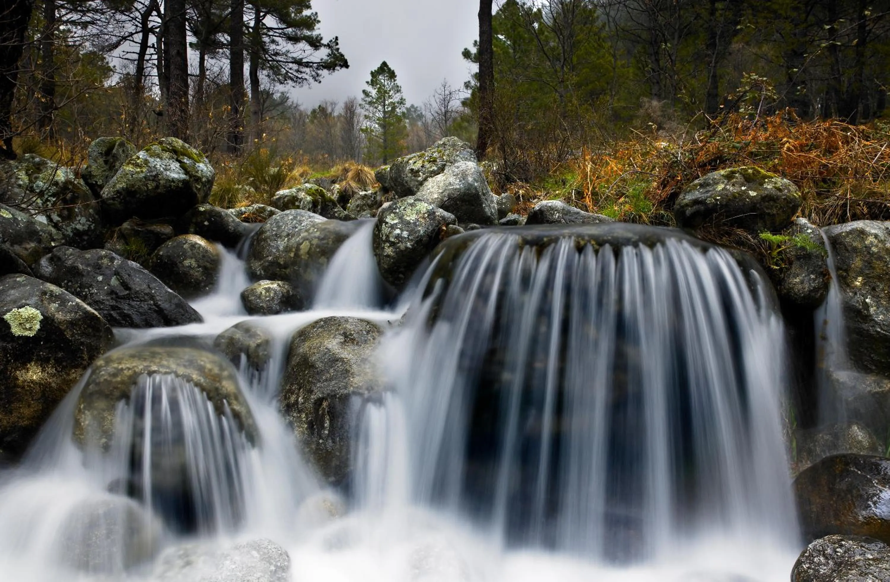 Natural landscape in Lo Alto