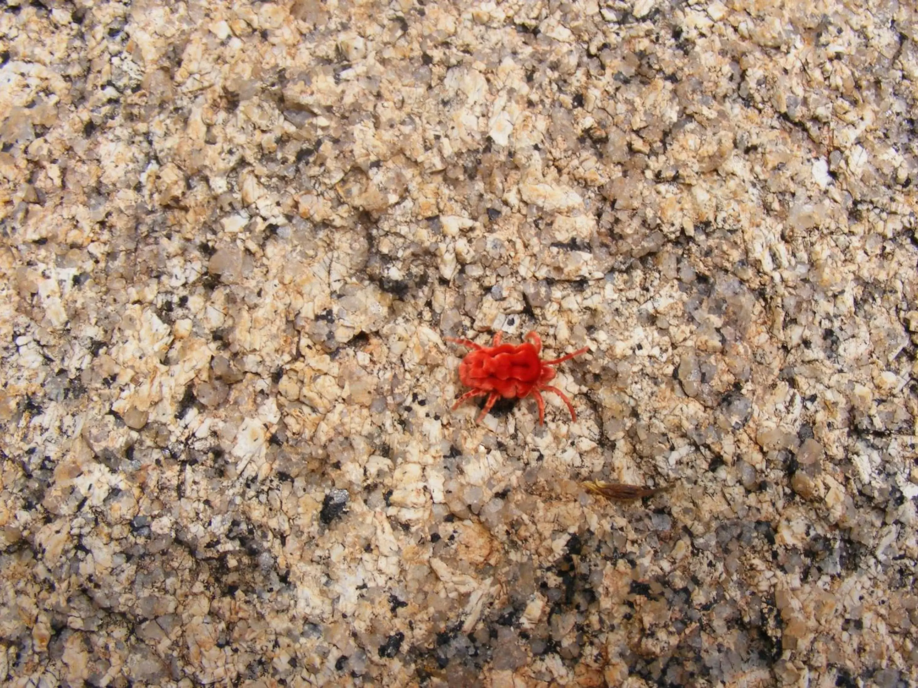 Kashana Namibia Kashana Namibia