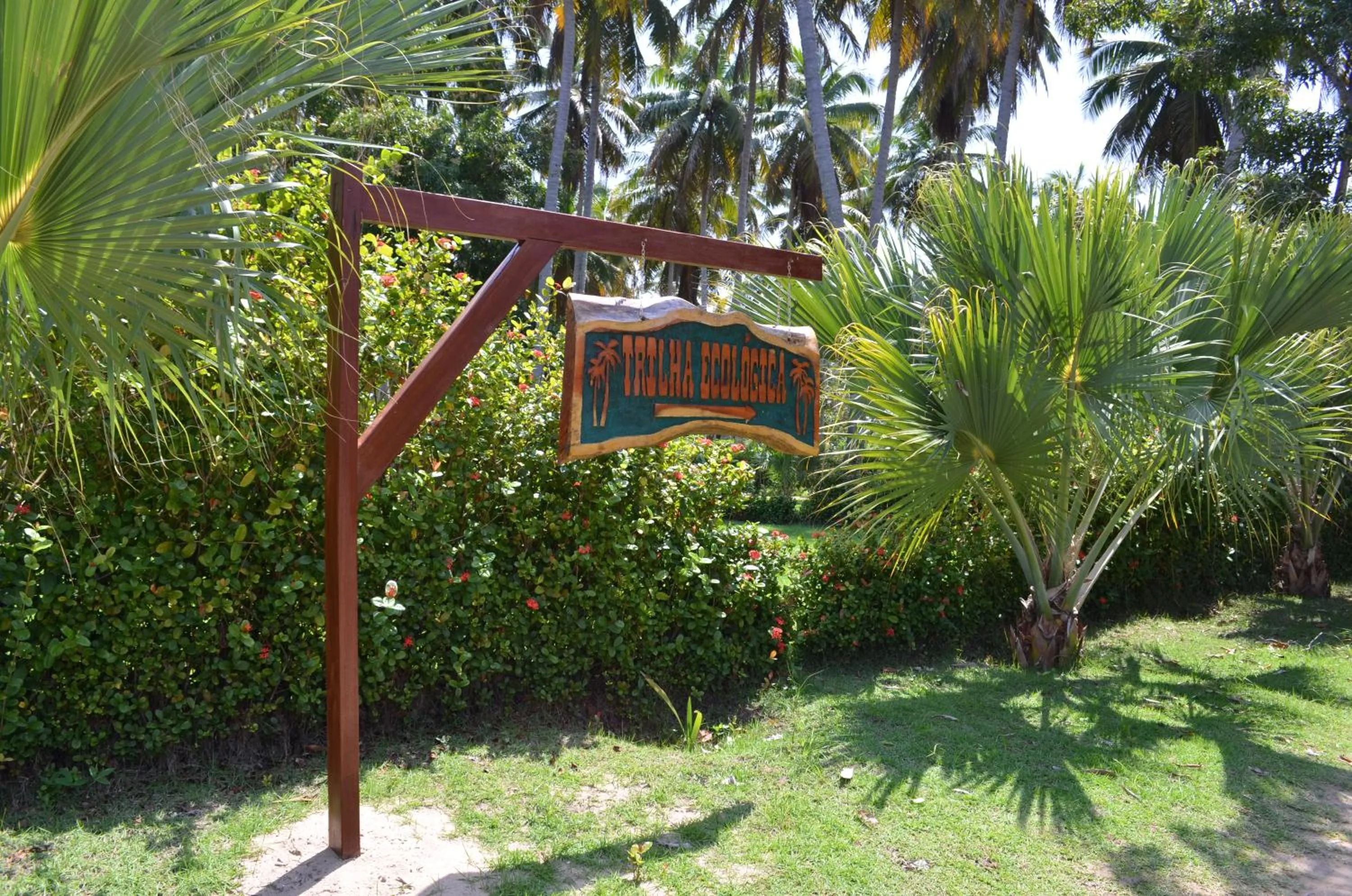 Garden in Eco Pousada Paraíso dos Coqueirais