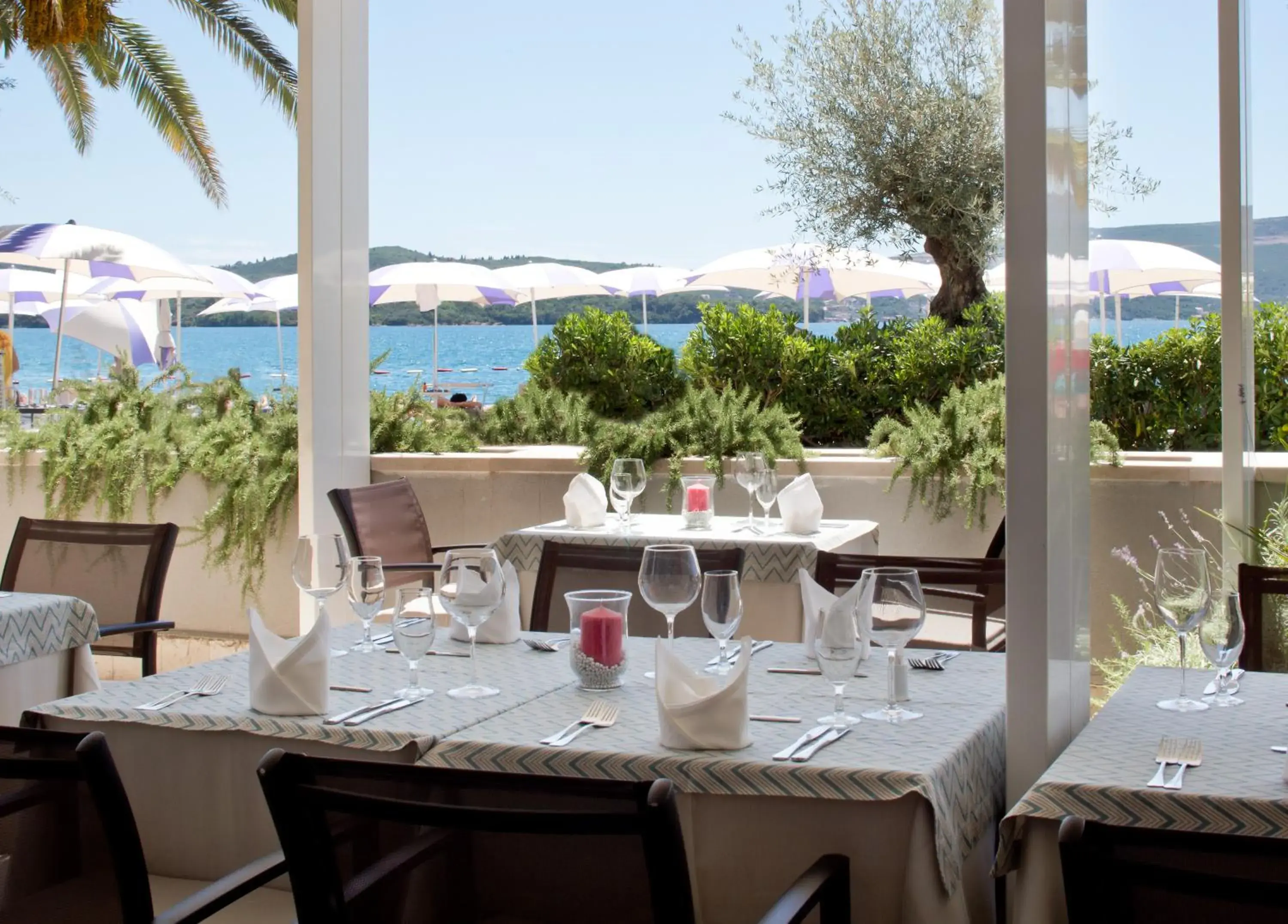 Restaurant/places to eat in Hotel Palma Restaurant/places to eat in Hotel Palma