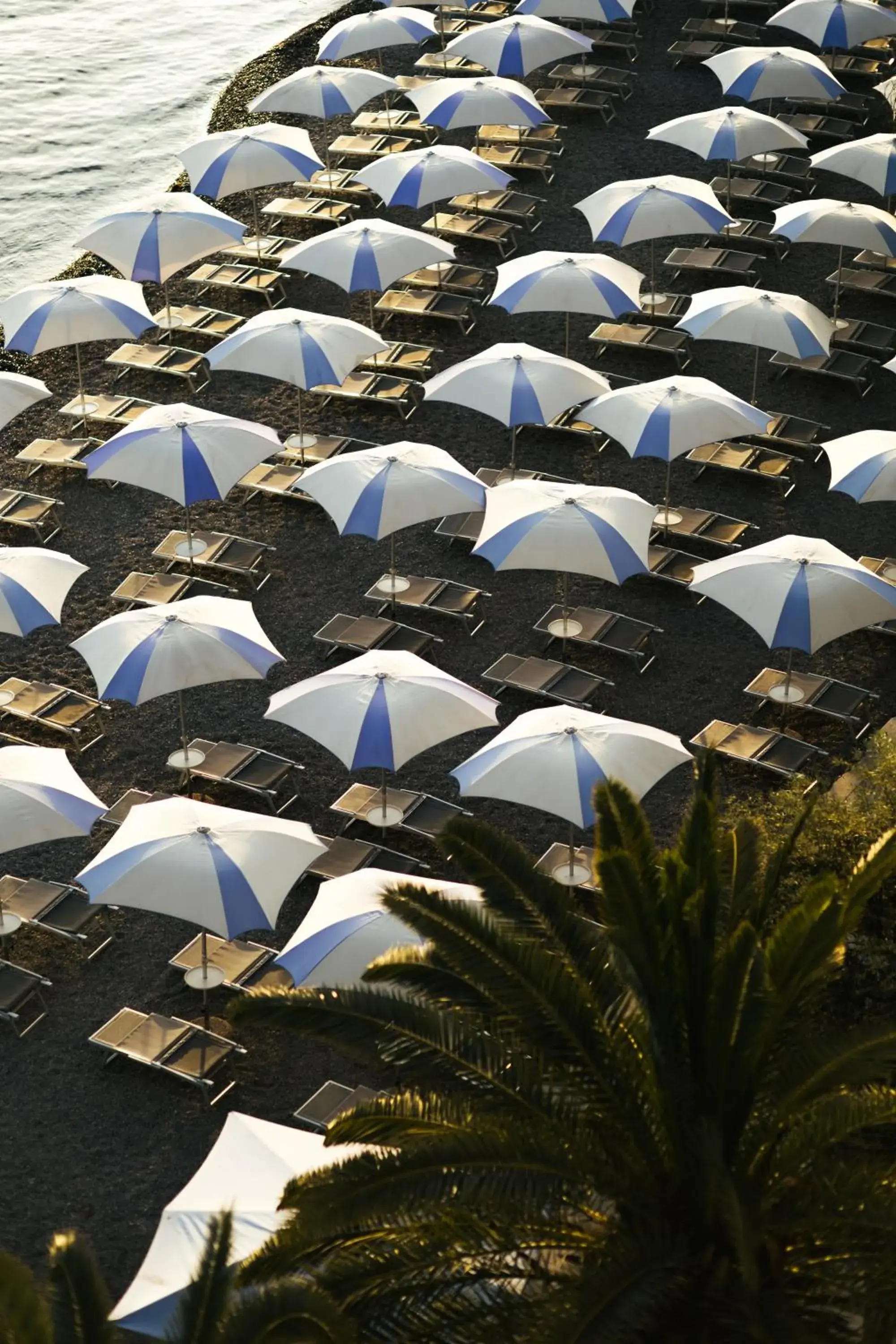 Hotel Palma Hotel Palma