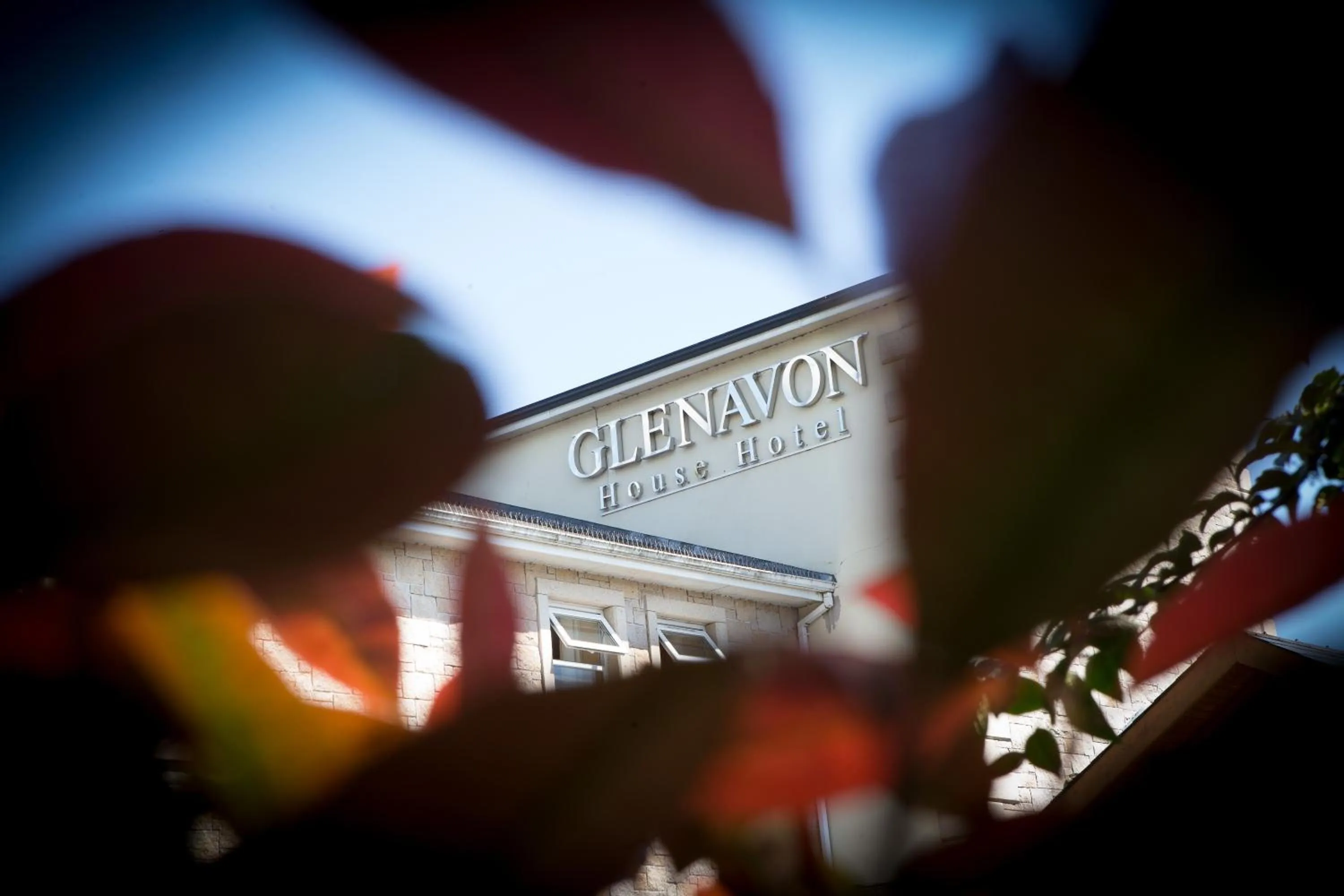 Restaurant/places to eat in Glenavon House Hotel