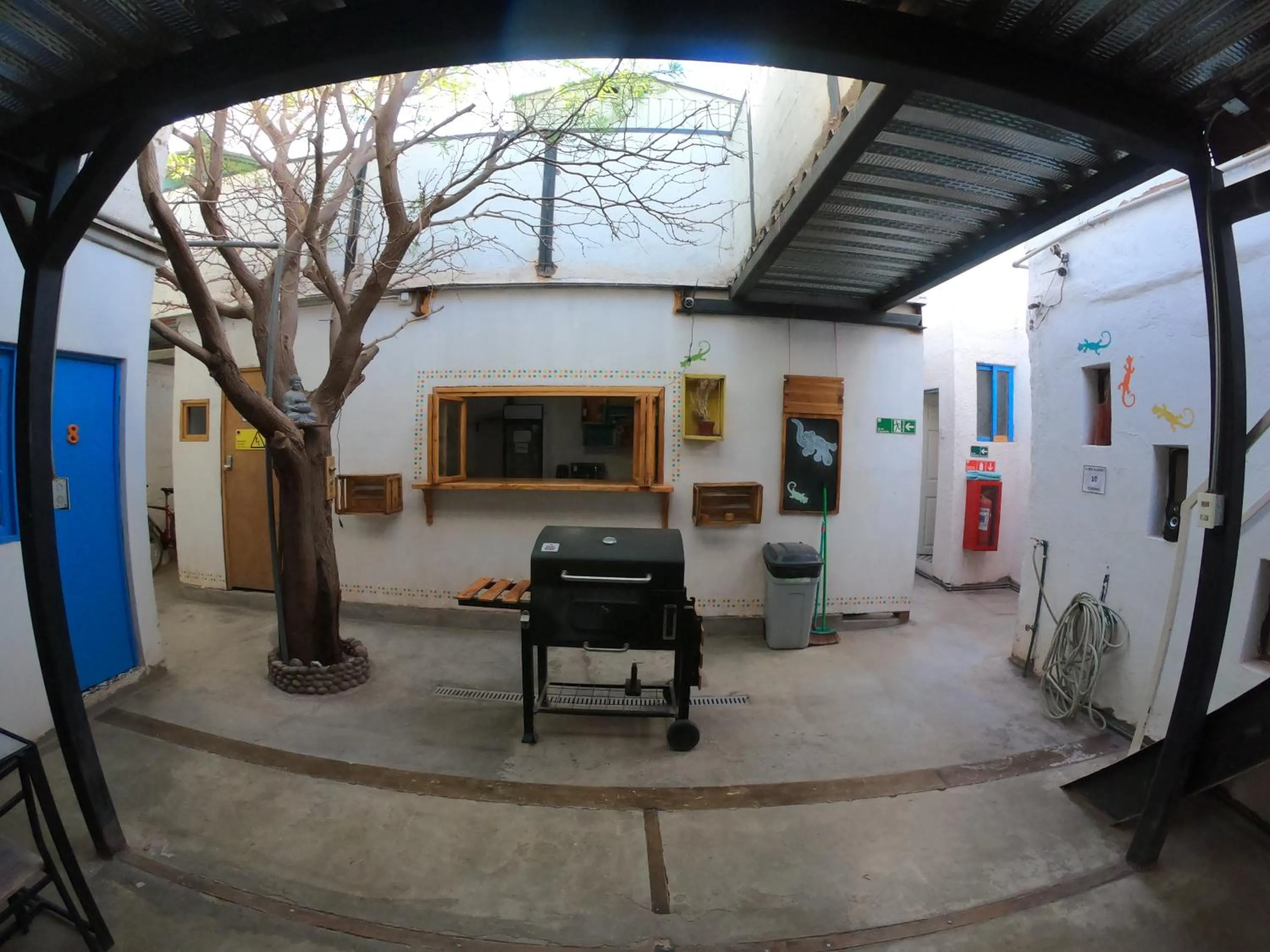 Patio in Rey Lagarto Hostel