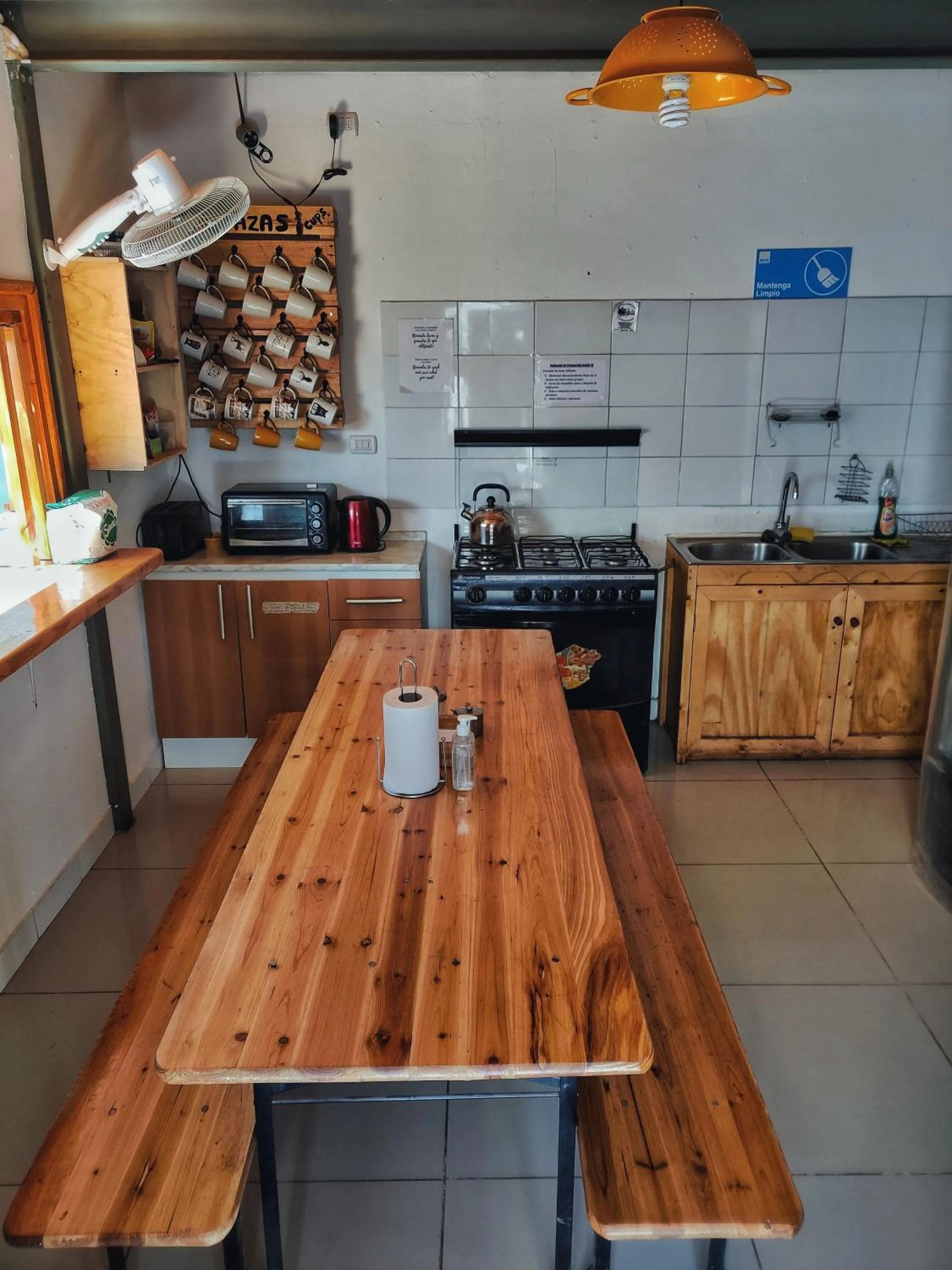 Kitchen or kitchenette in Rey Lagarto Hostel