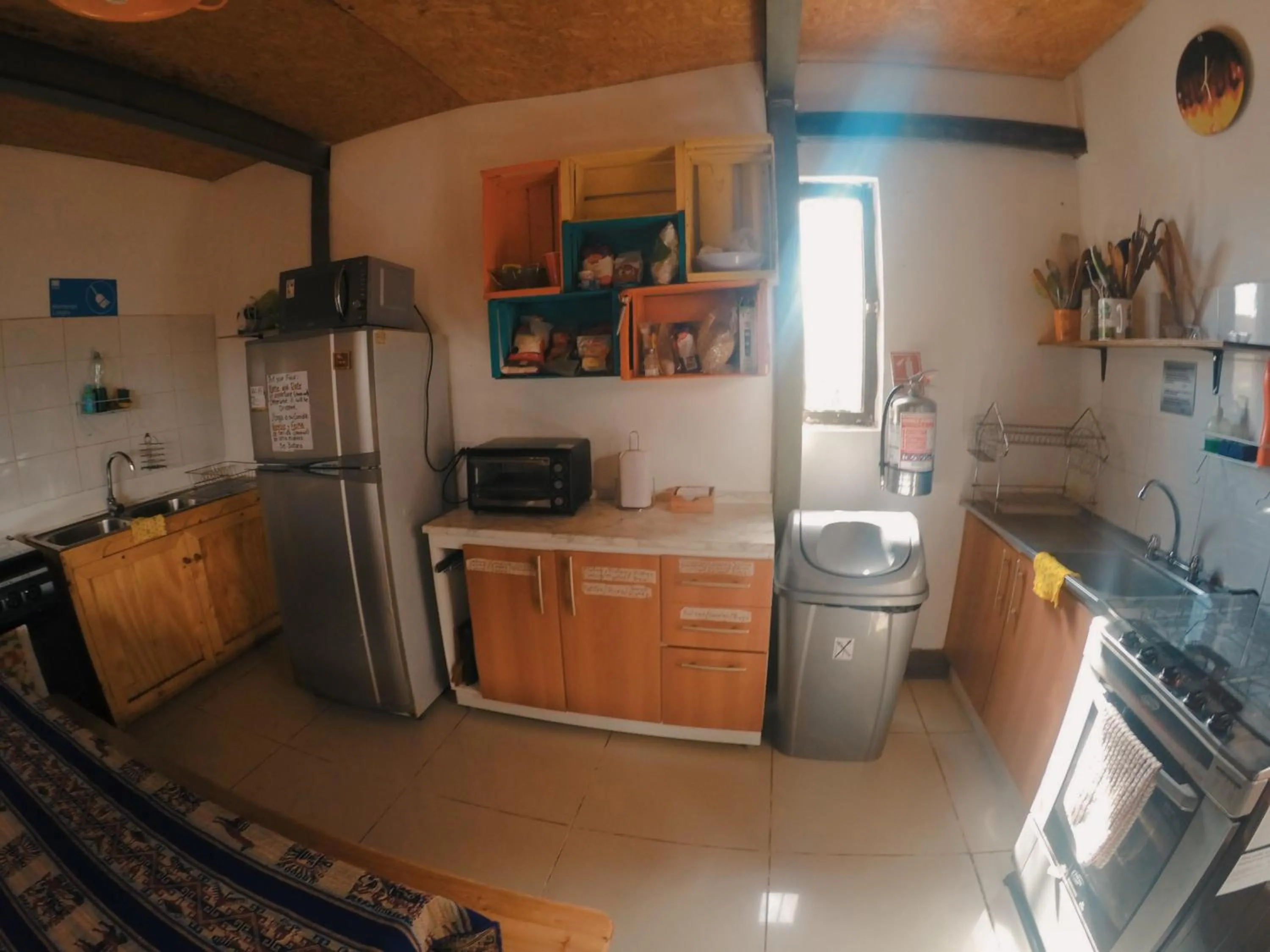 Kitchen or kitchenette in Rey Lagarto Hostel
