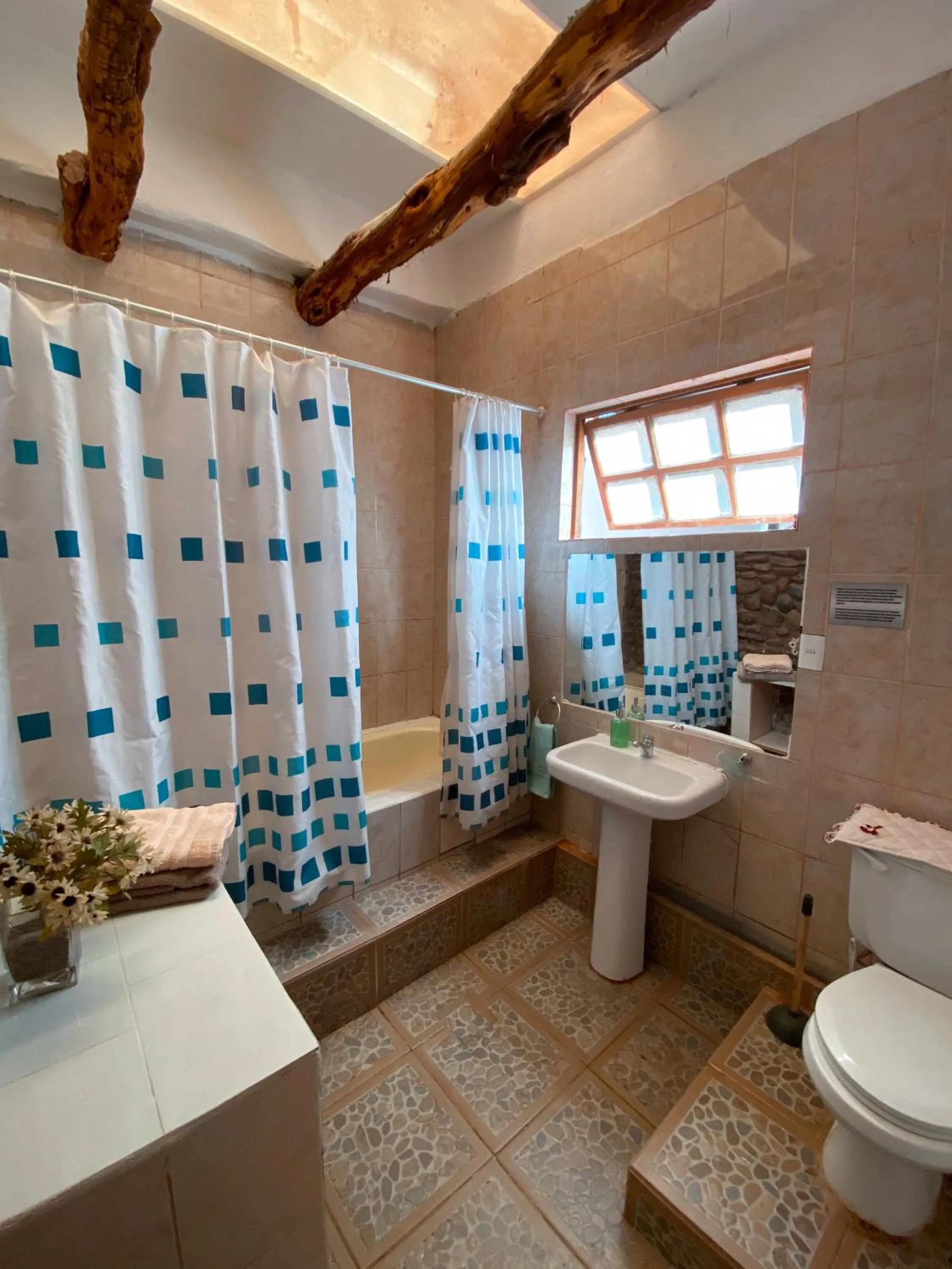 Shower in Rey Lagarto Hostel