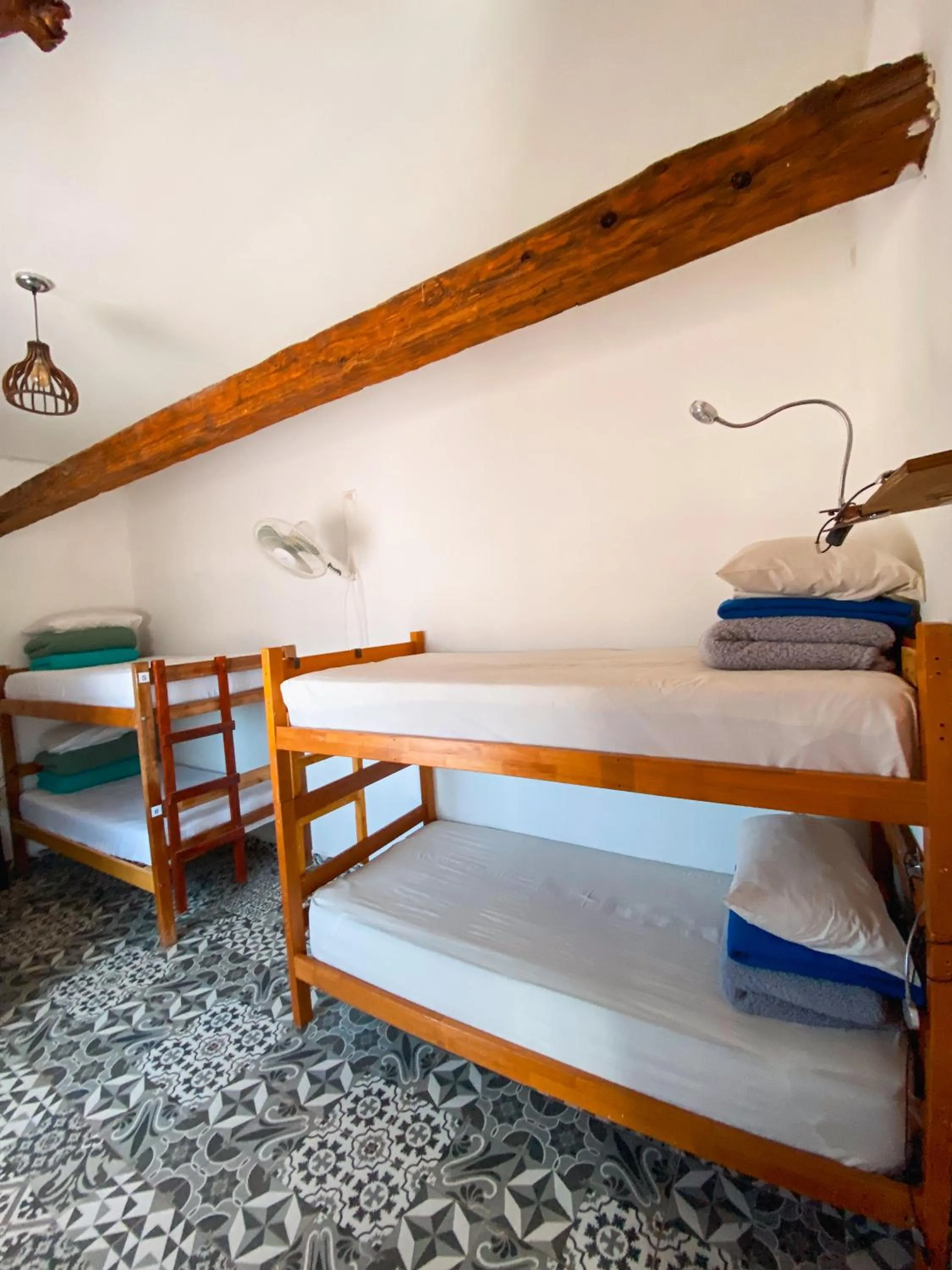Bed in Rey Lagarto Hostel