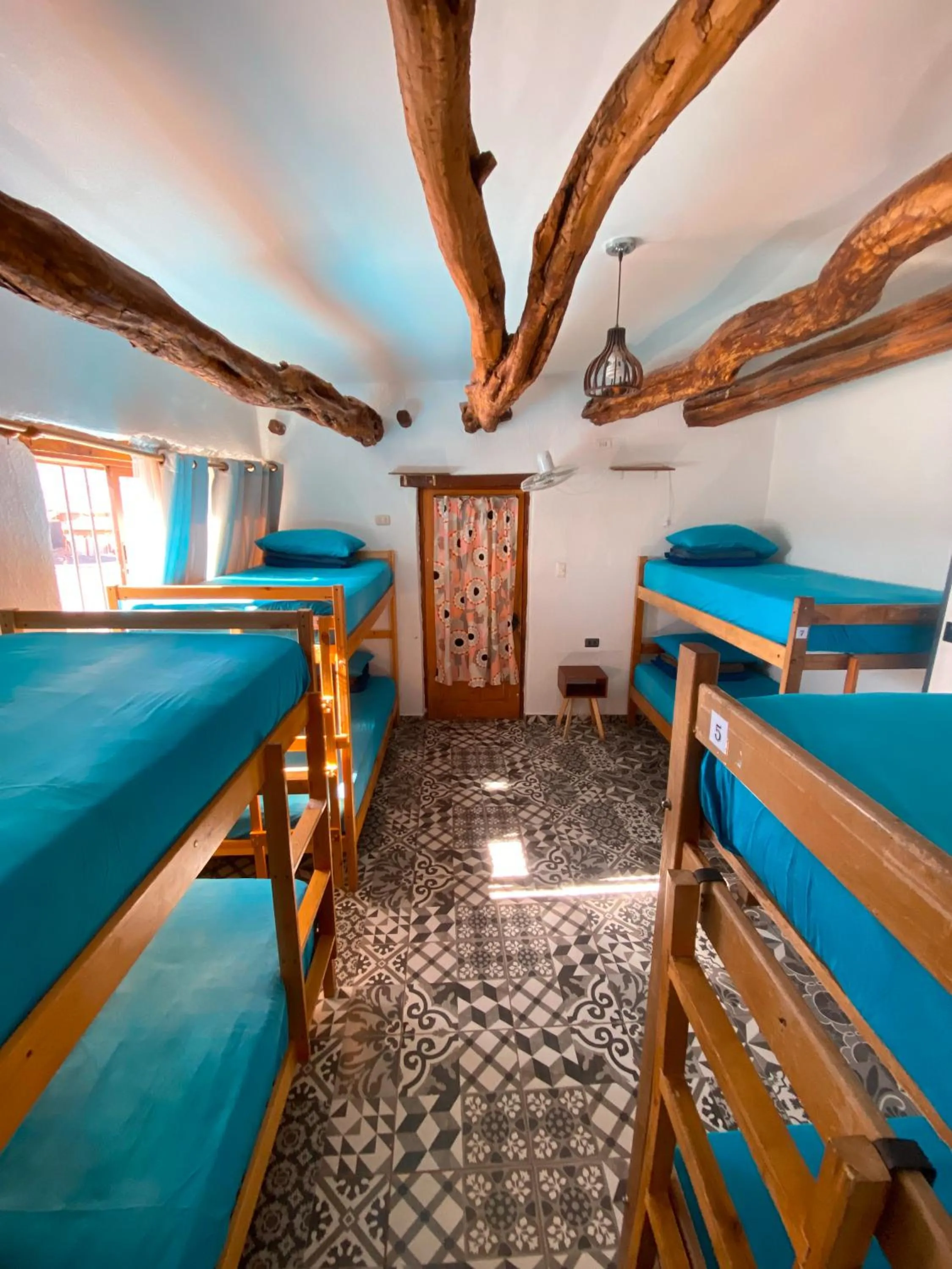 Bed in Rey Lagarto Hostel