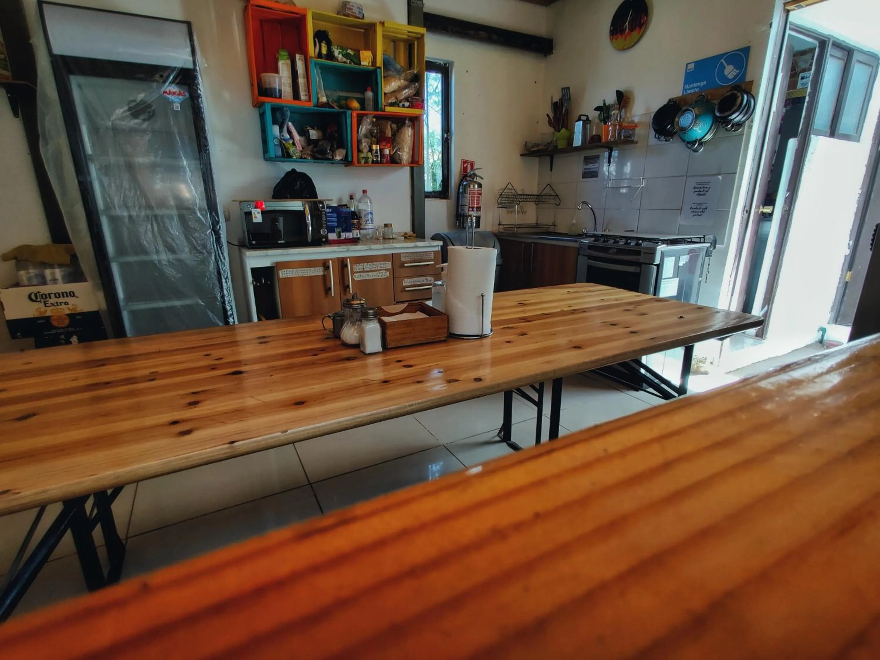 Kitchen or kitchenette in Rey Lagarto Hostel