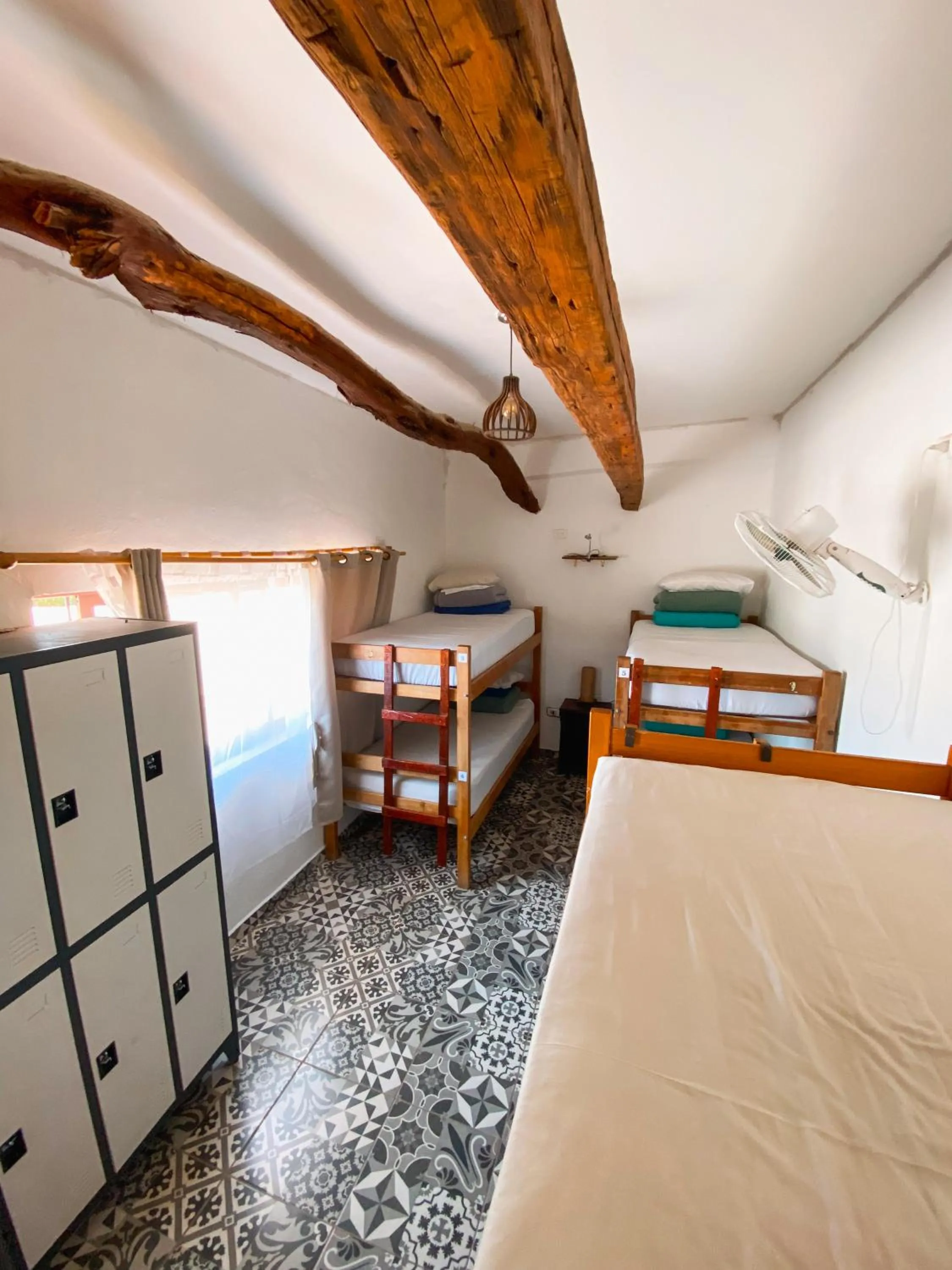 Bed in Rey Lagarto Hostel