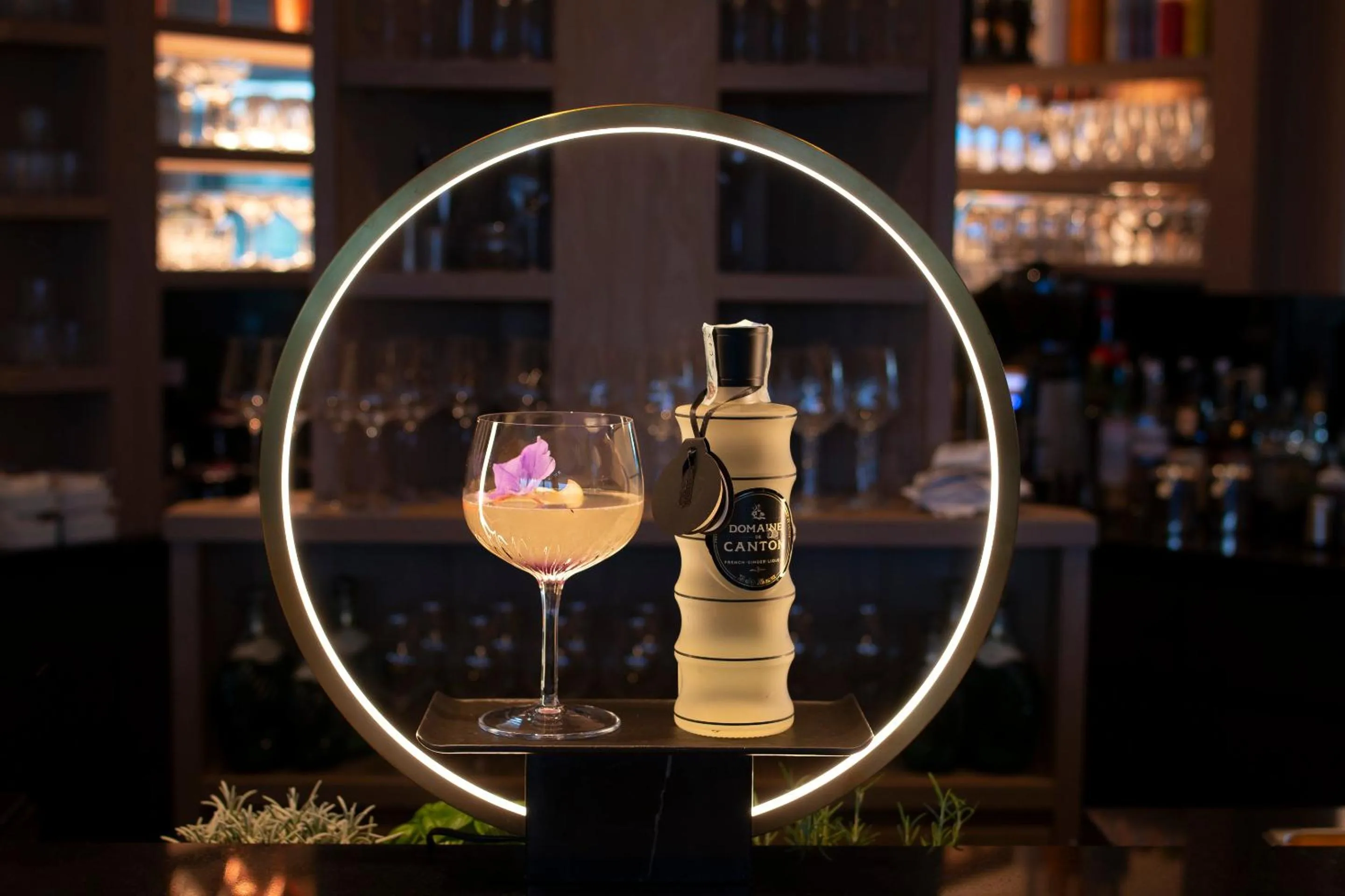 Lounge or bar in Weinegg Wellviva Resort