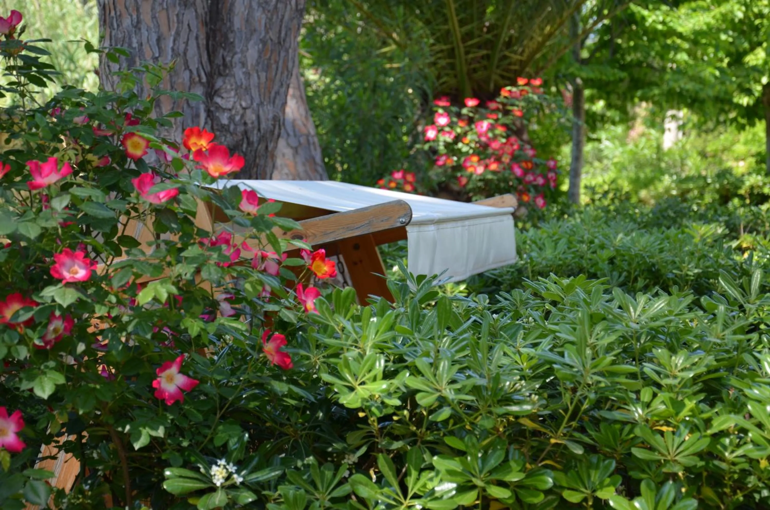 Garden in Villa Terme Di Caldana B&B