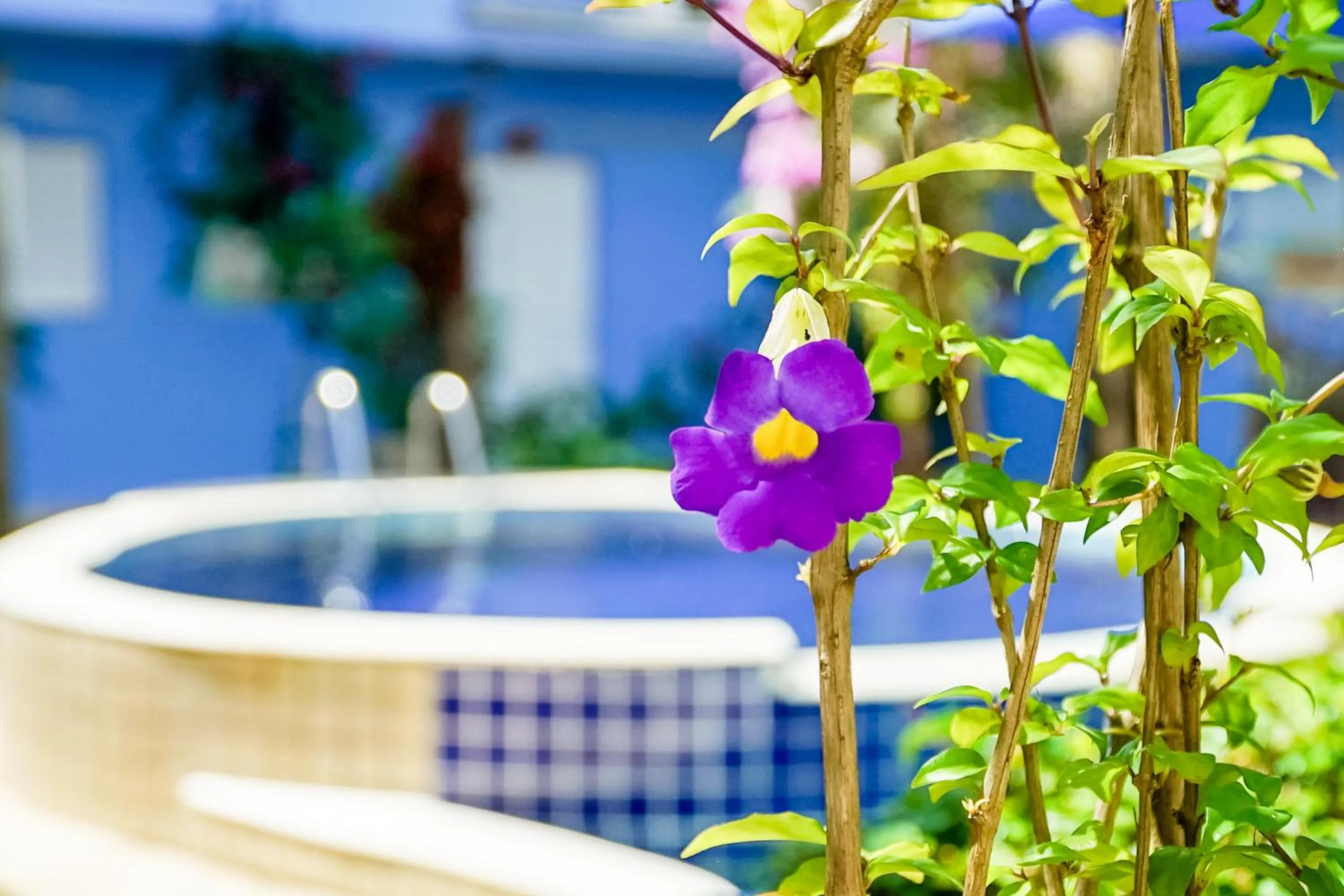 Garden in Velinn Pousada Remanso do Mar