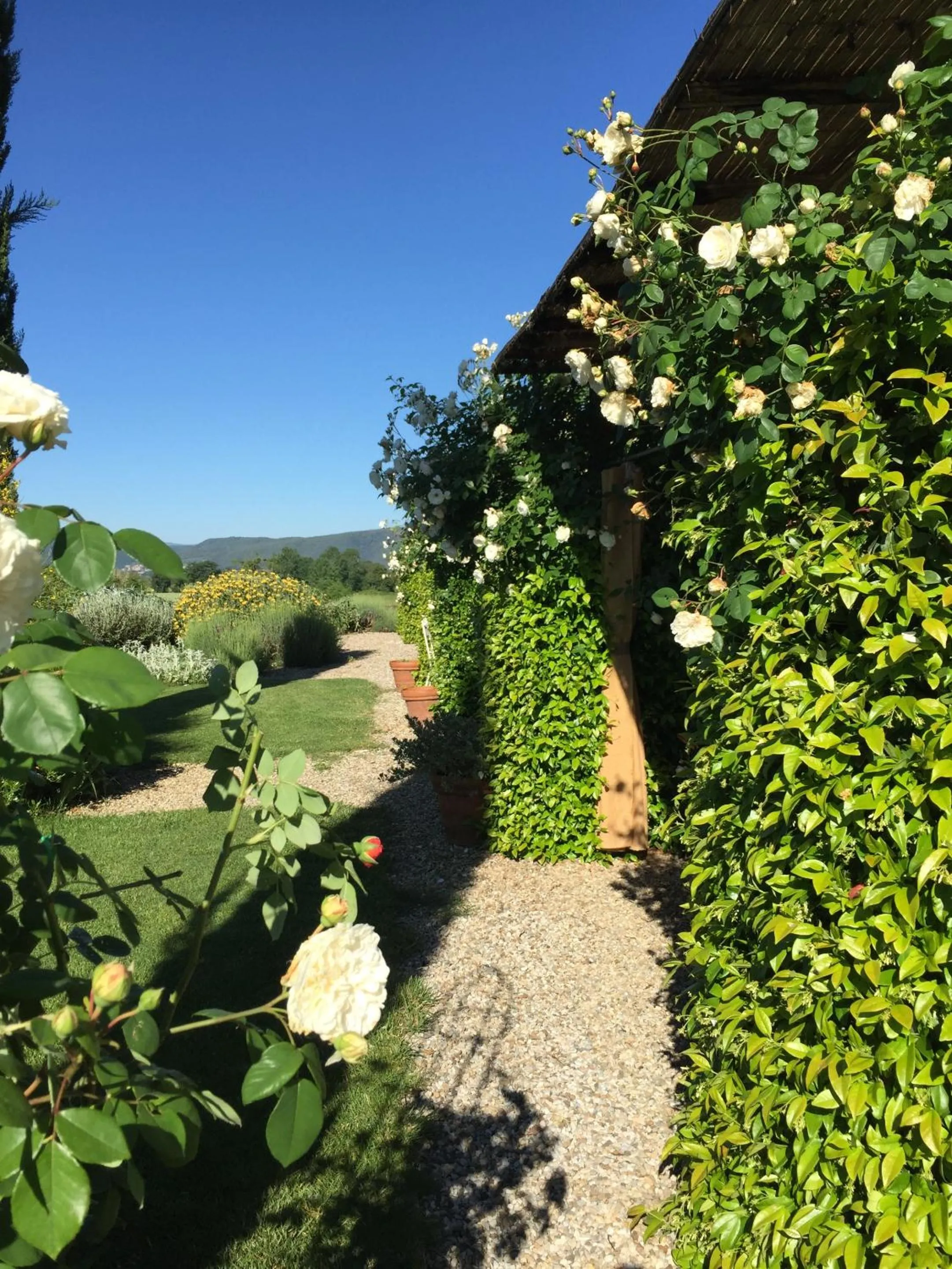 Garden in Rinidia Bio