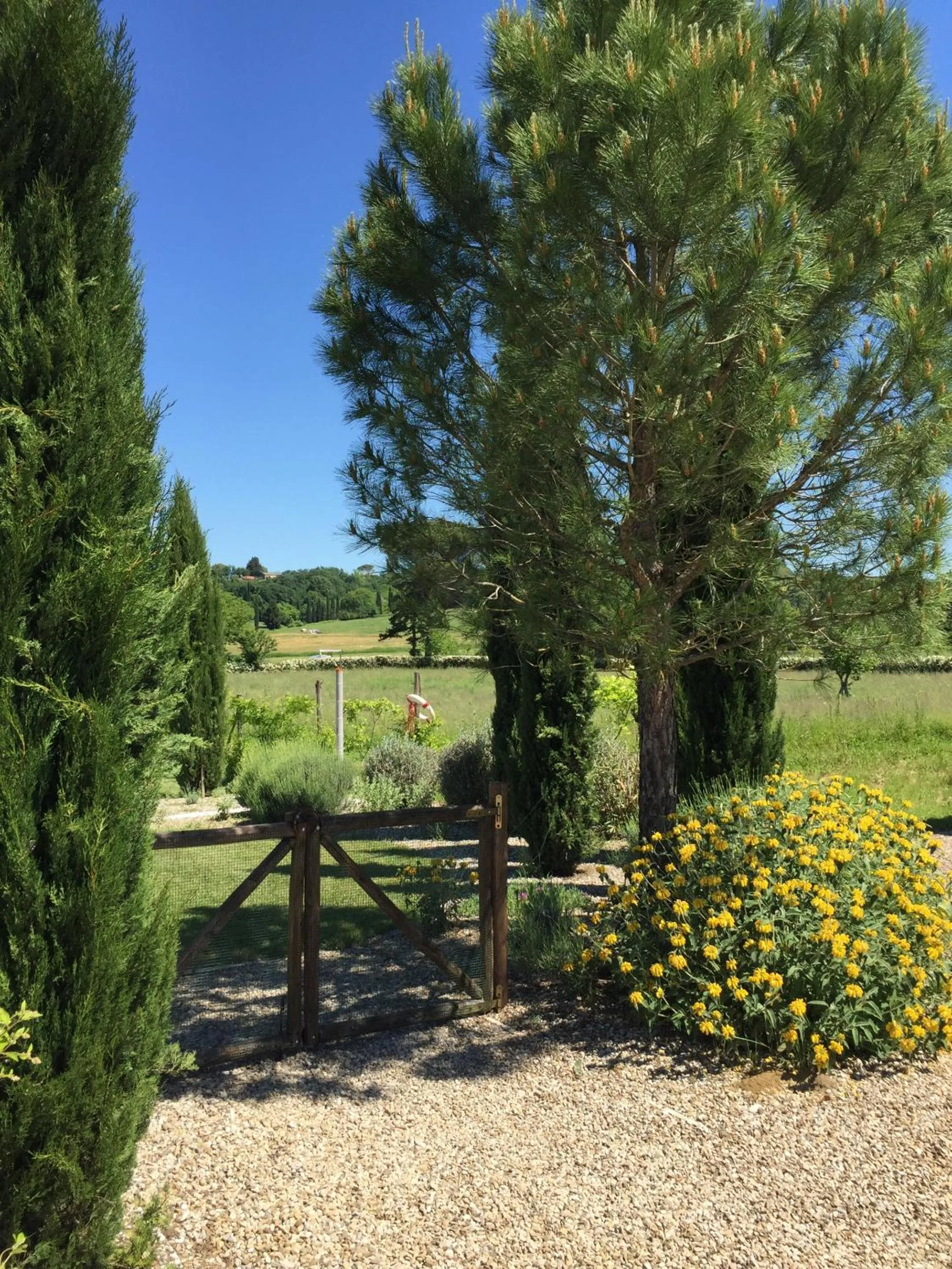 Garden in Rinidia Bio
