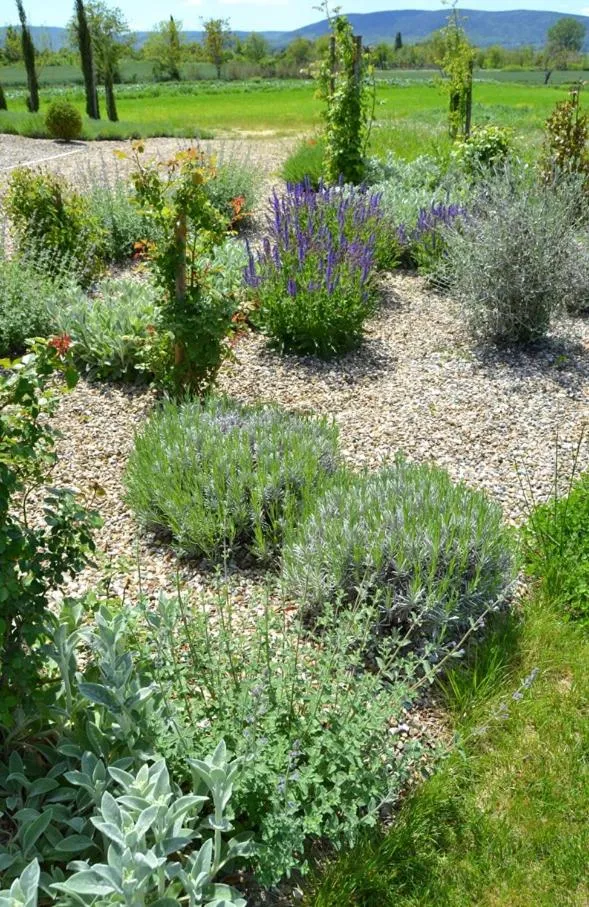 Garden in Rinidia Bio