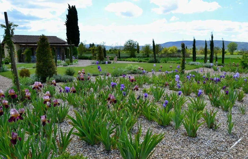 Garden in Rinidia Bio