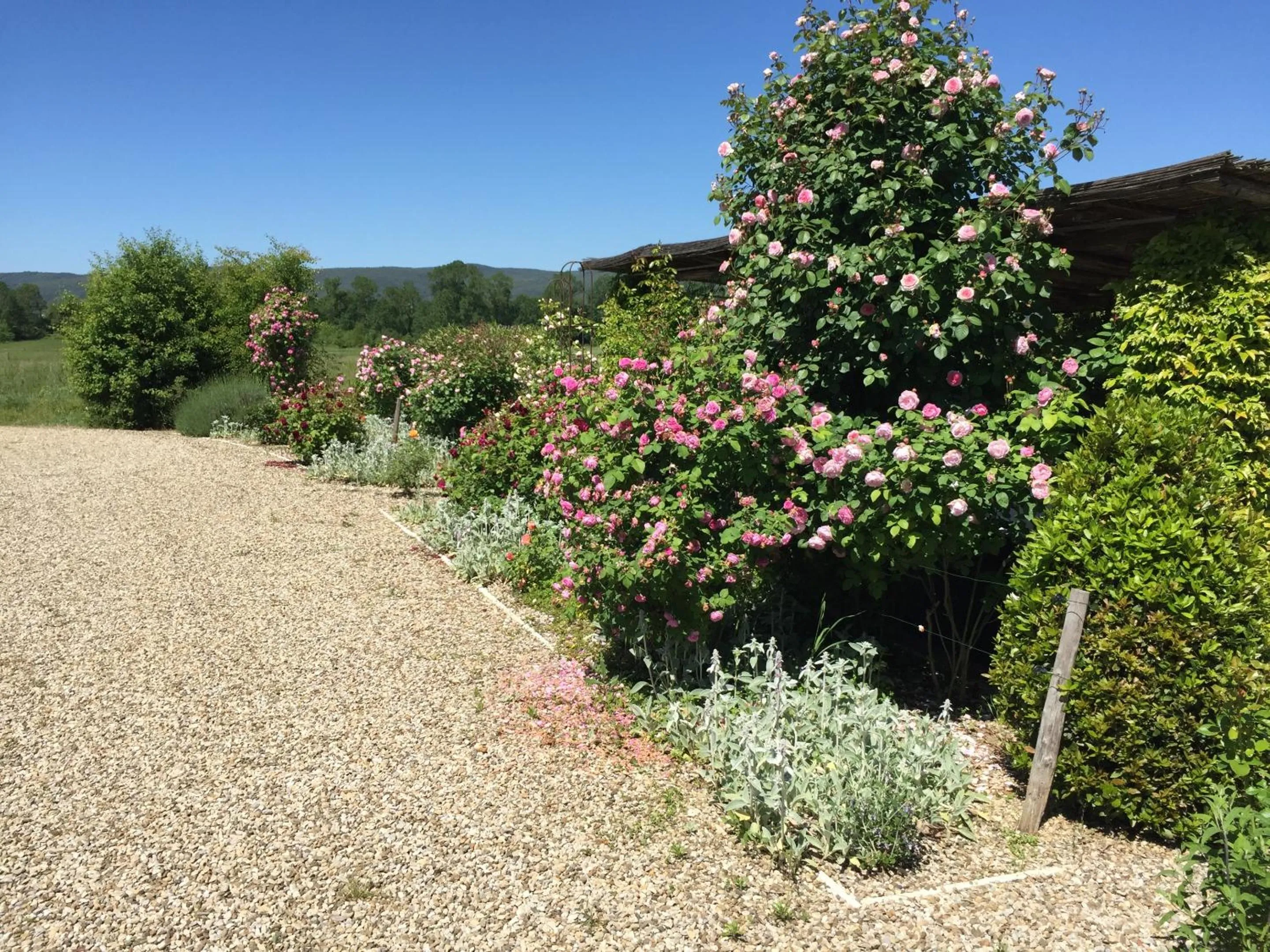 Garden in Rinidia Bio